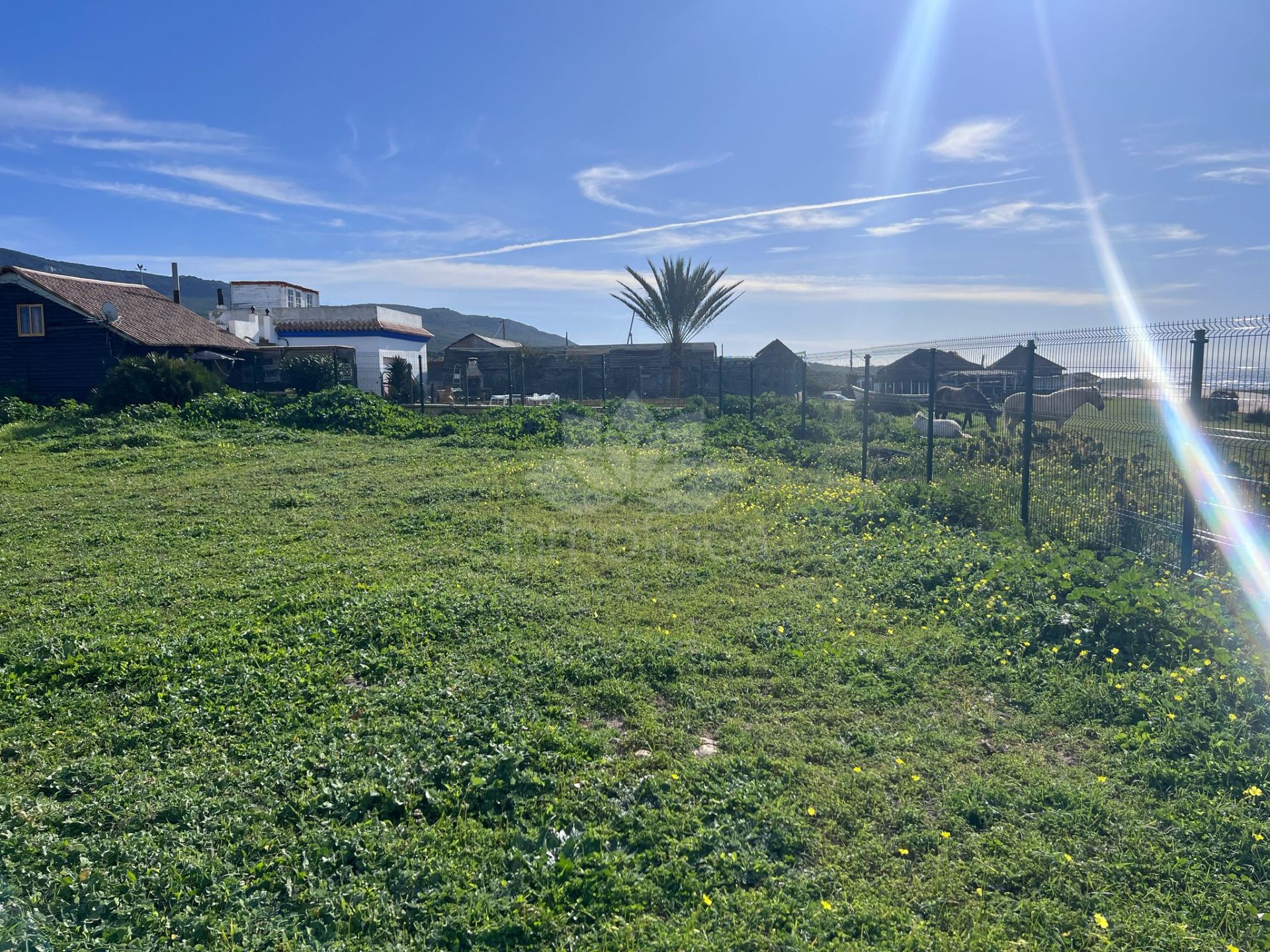 Parcela en Bolonia, Tarifa