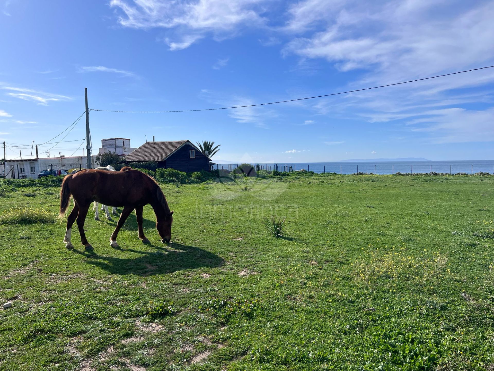 Parcela en Bolonia, Tarifa