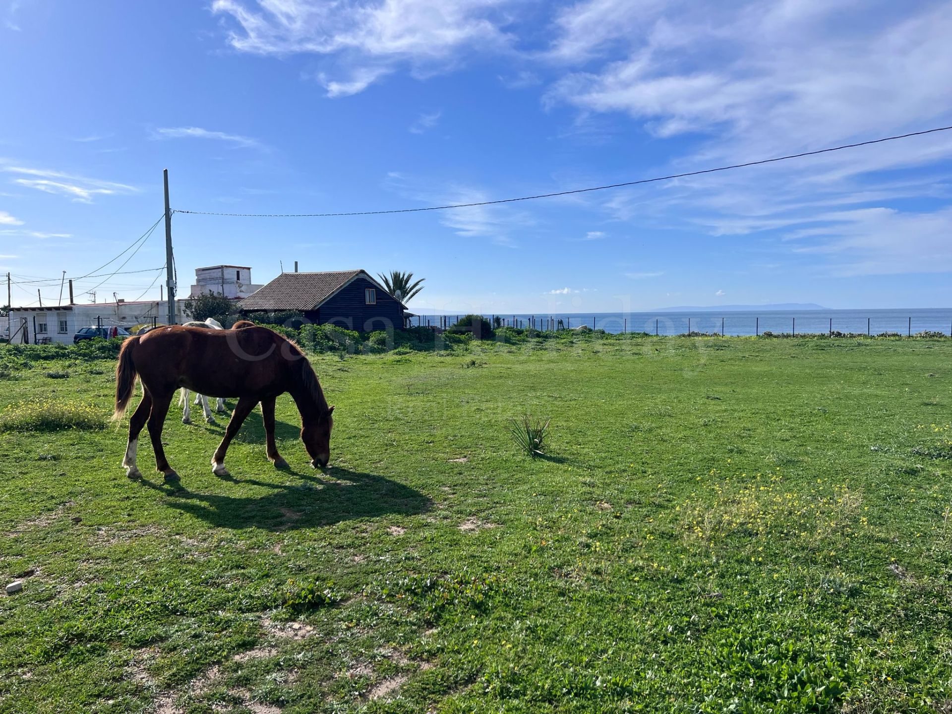 Plot in Bolonia, Tarifa