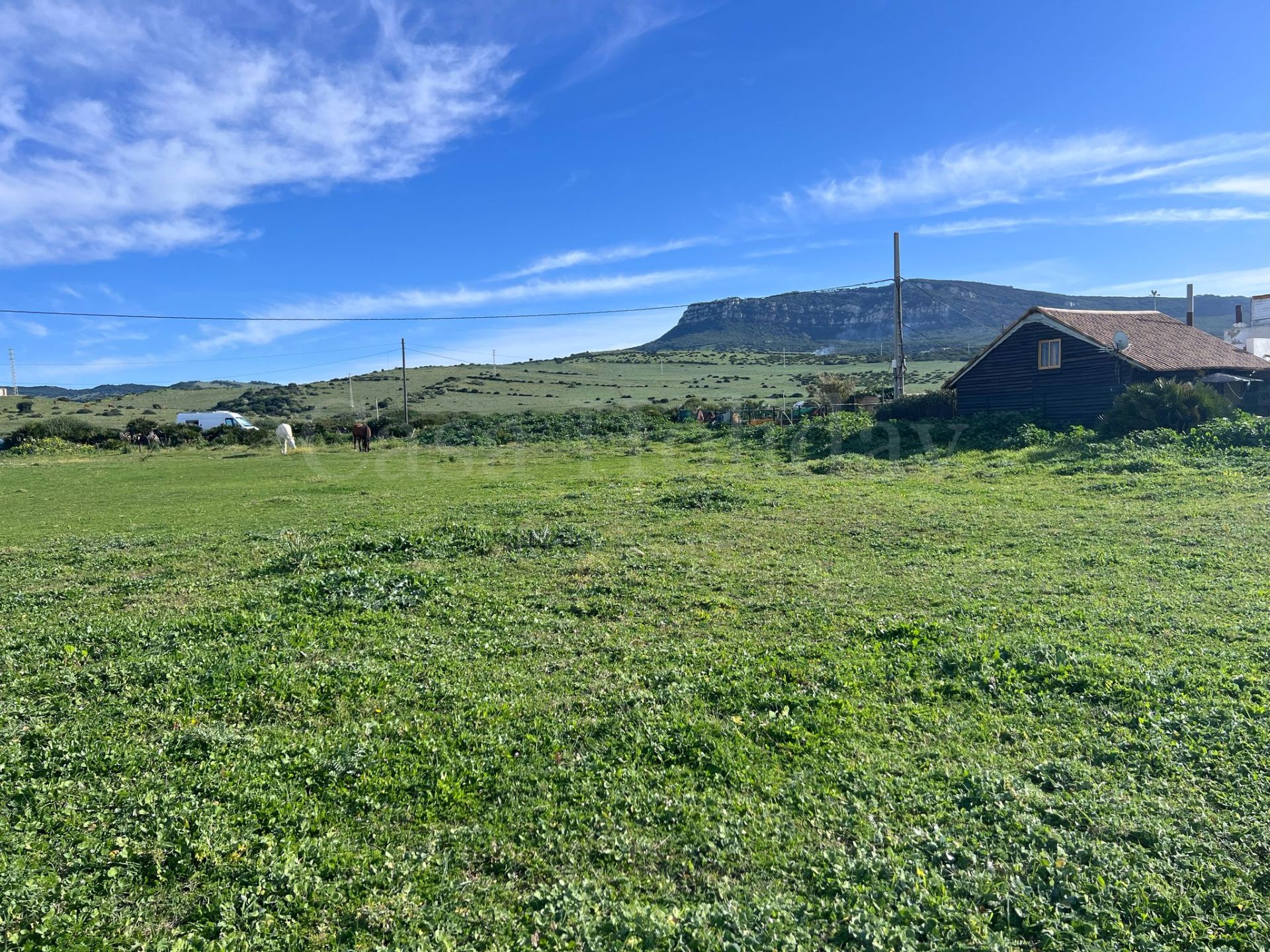 Plot in Bolonia, Tarifa