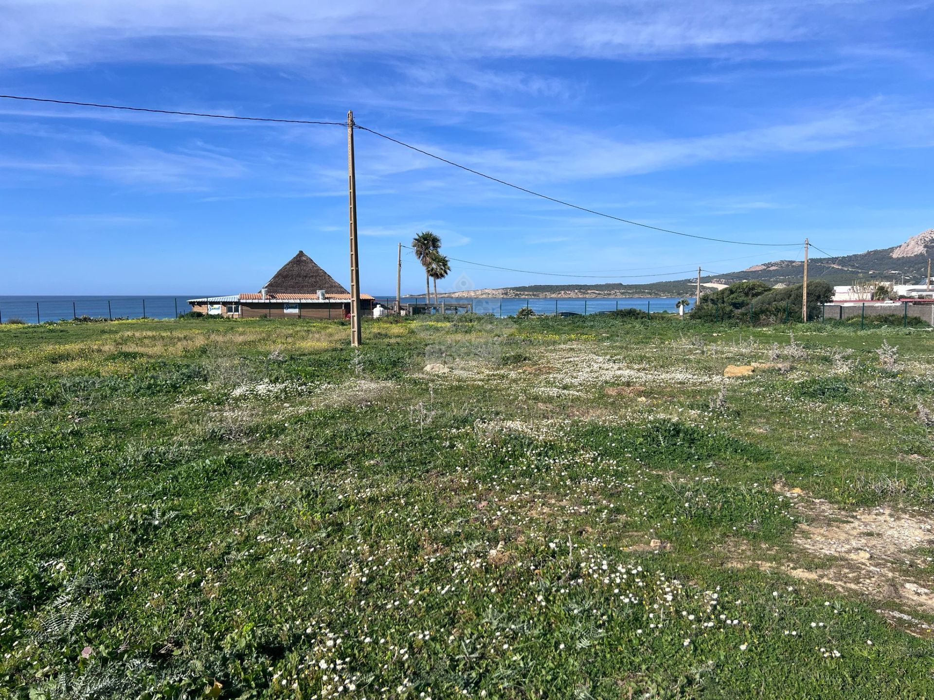 Dzialka w Bolonia, Tarifa