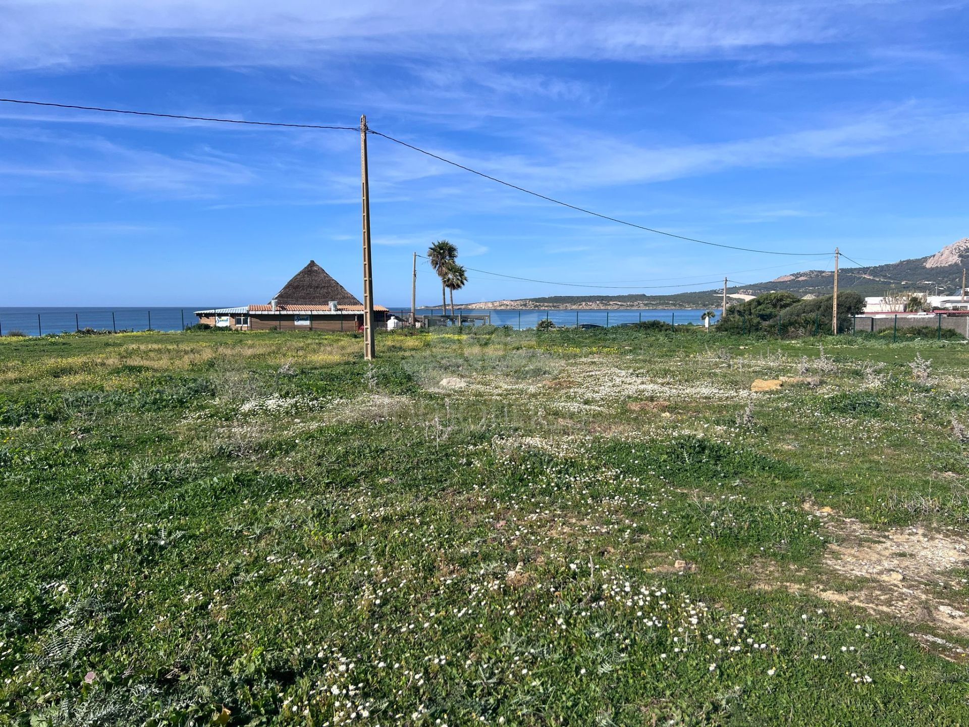 Parcela en Bolonia, Tarifa