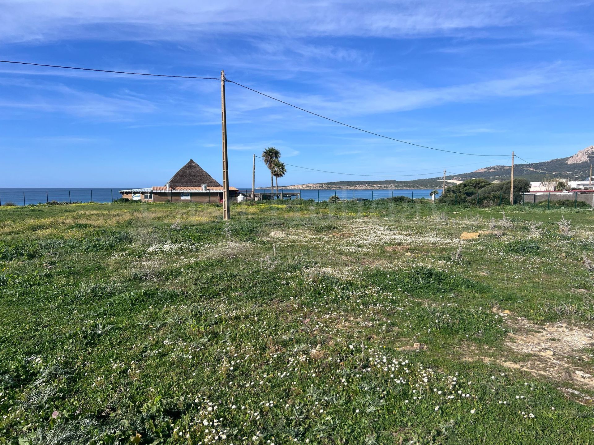 Plot in Bolonia, Tarifa