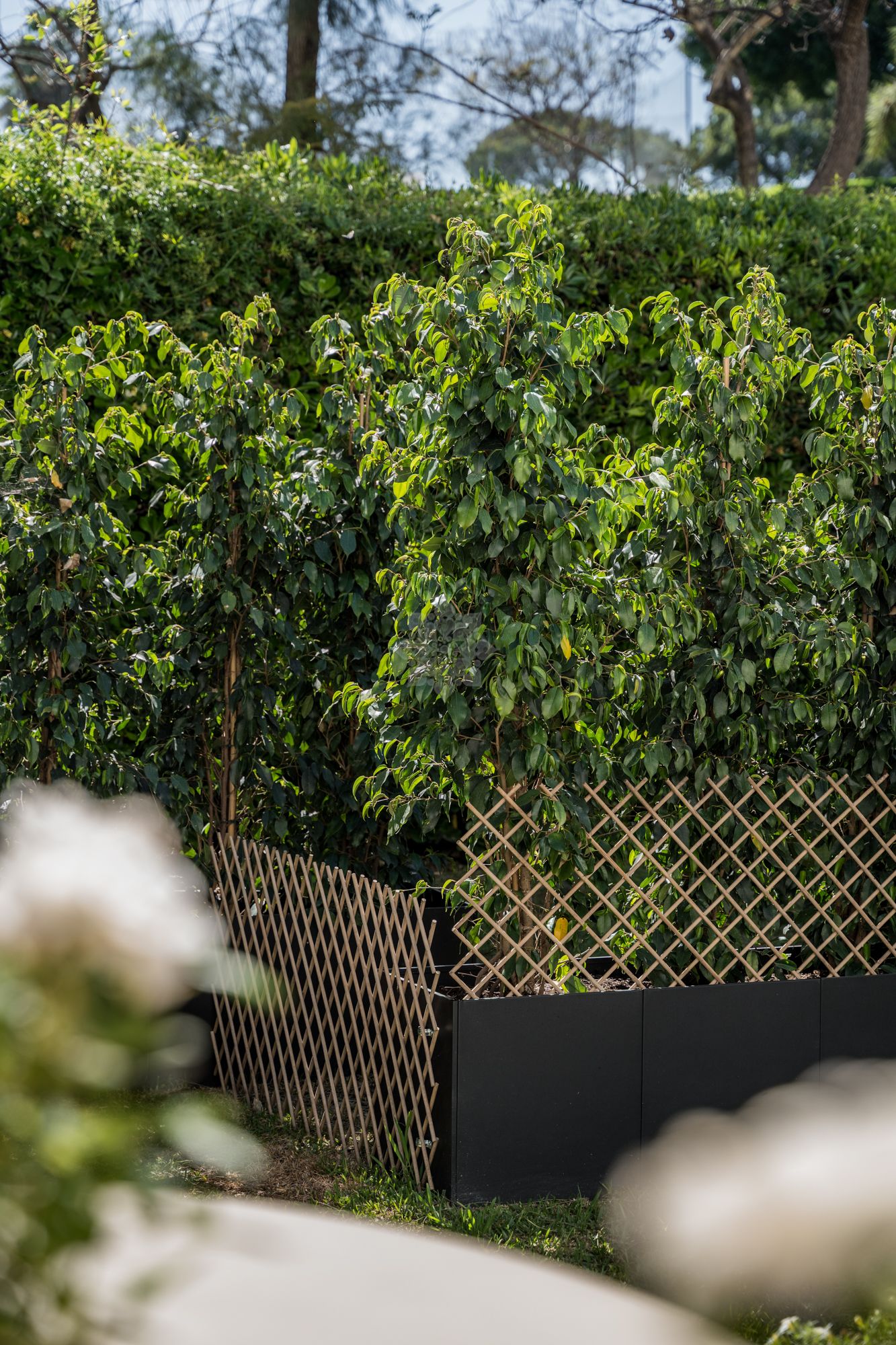 Ground Floor Apartment in La Quinta, Benahavis