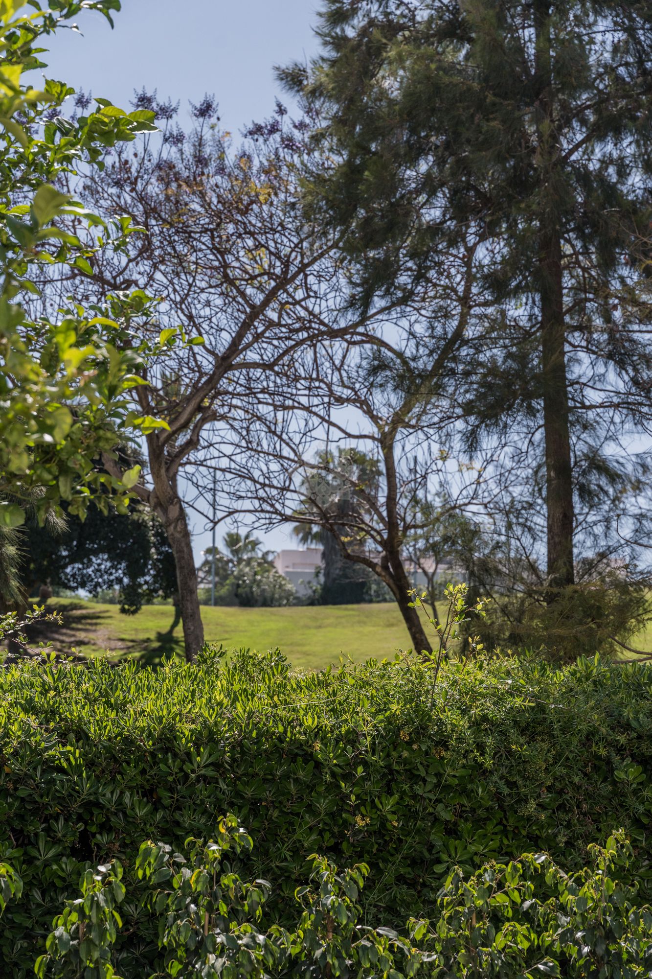 Ground Floor Apartment in La Quinta, Benahavis