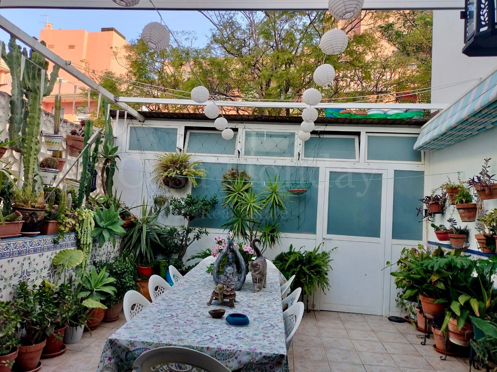 Ground Floor Apartment in San Pedro de Alcantara