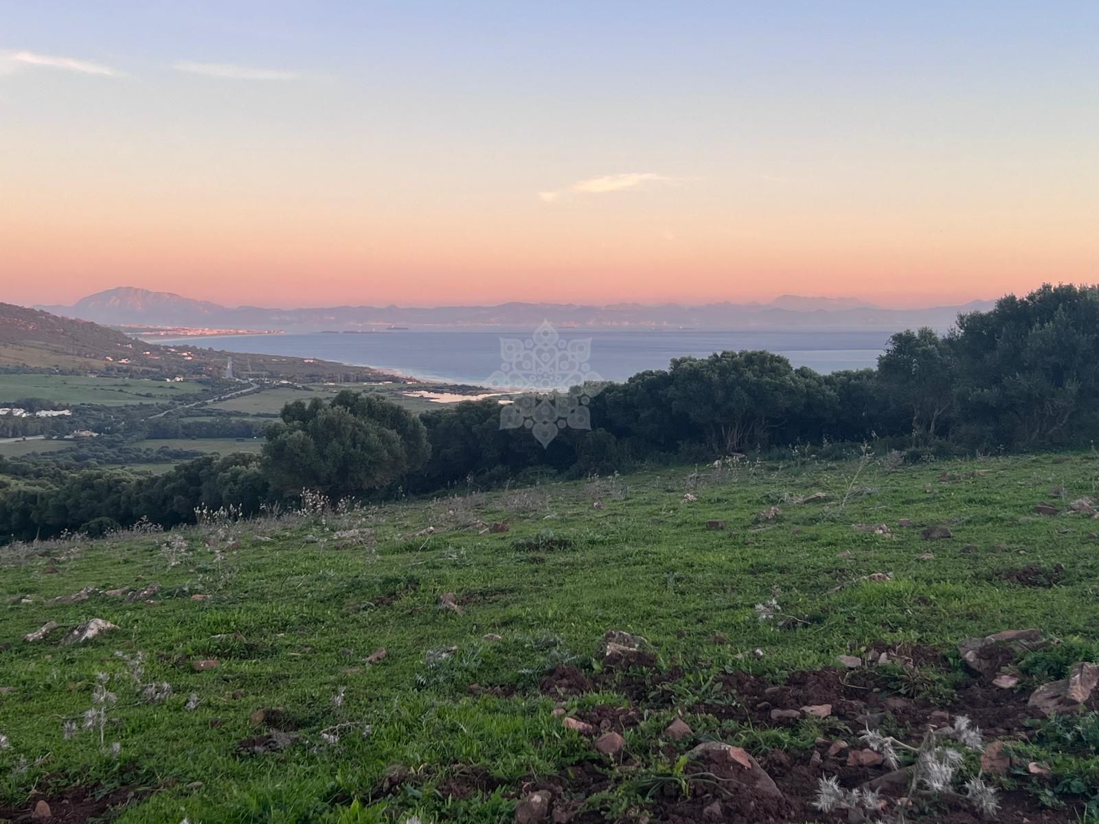 Plot in Tarifa