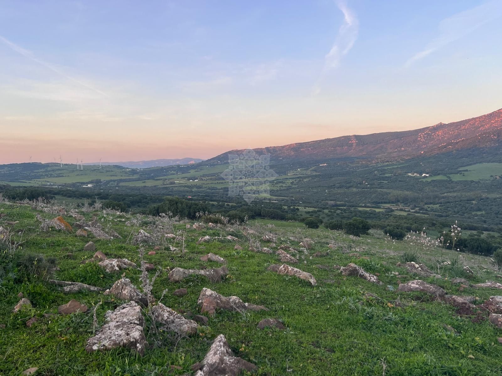 Plot in Tarifa