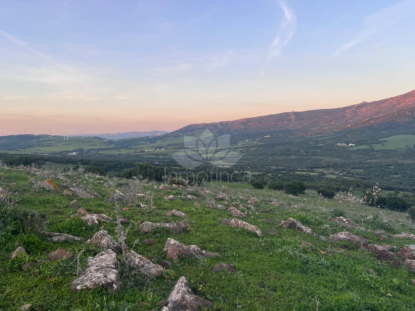 Plot in Tarifa