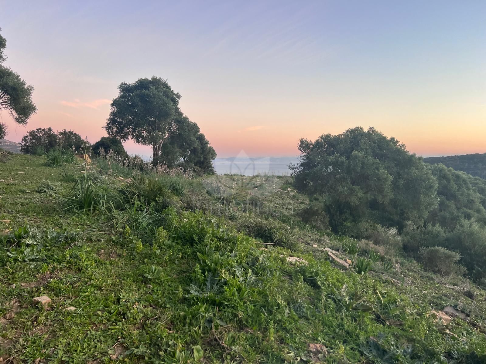 Plot in Tarifa