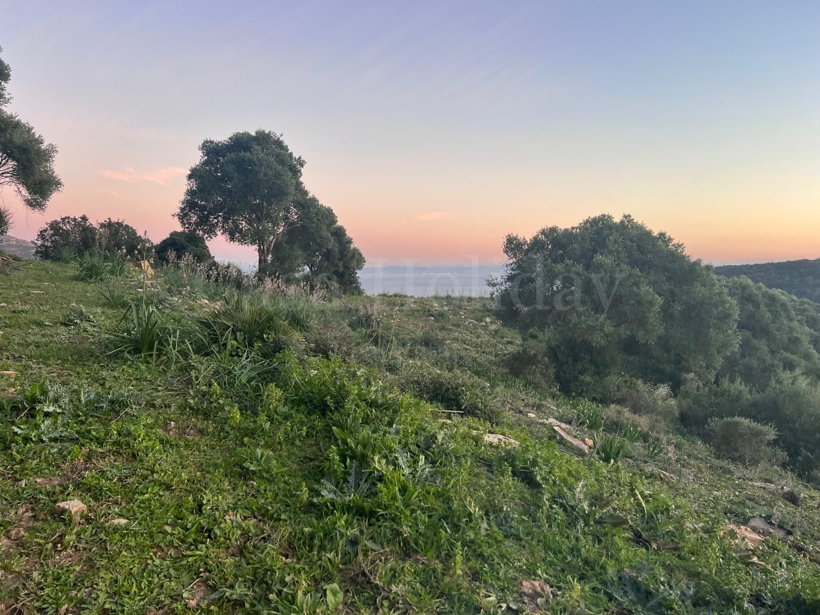 Parcela en Tarifa