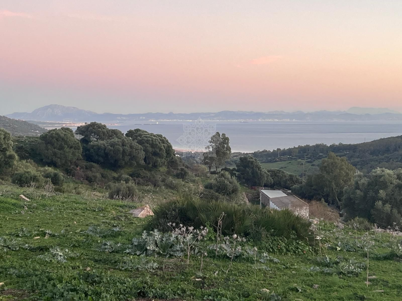 Plot in Tarifa