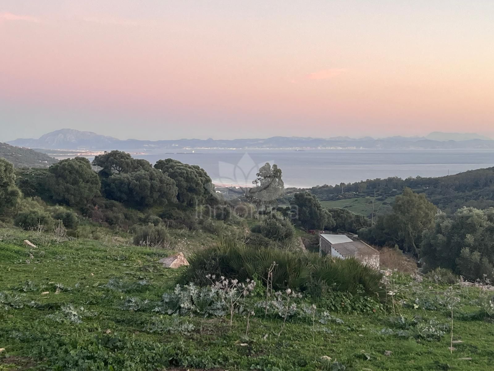 Plot in Tarifa