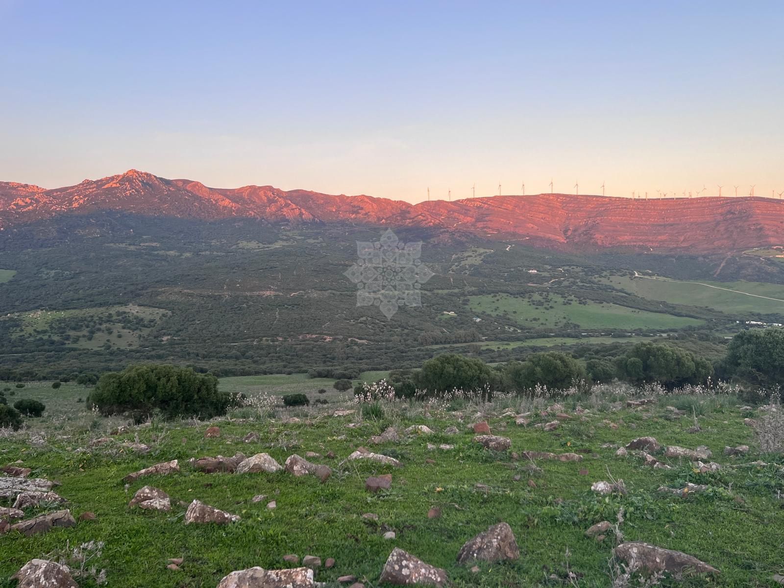 Plot in Tarifa