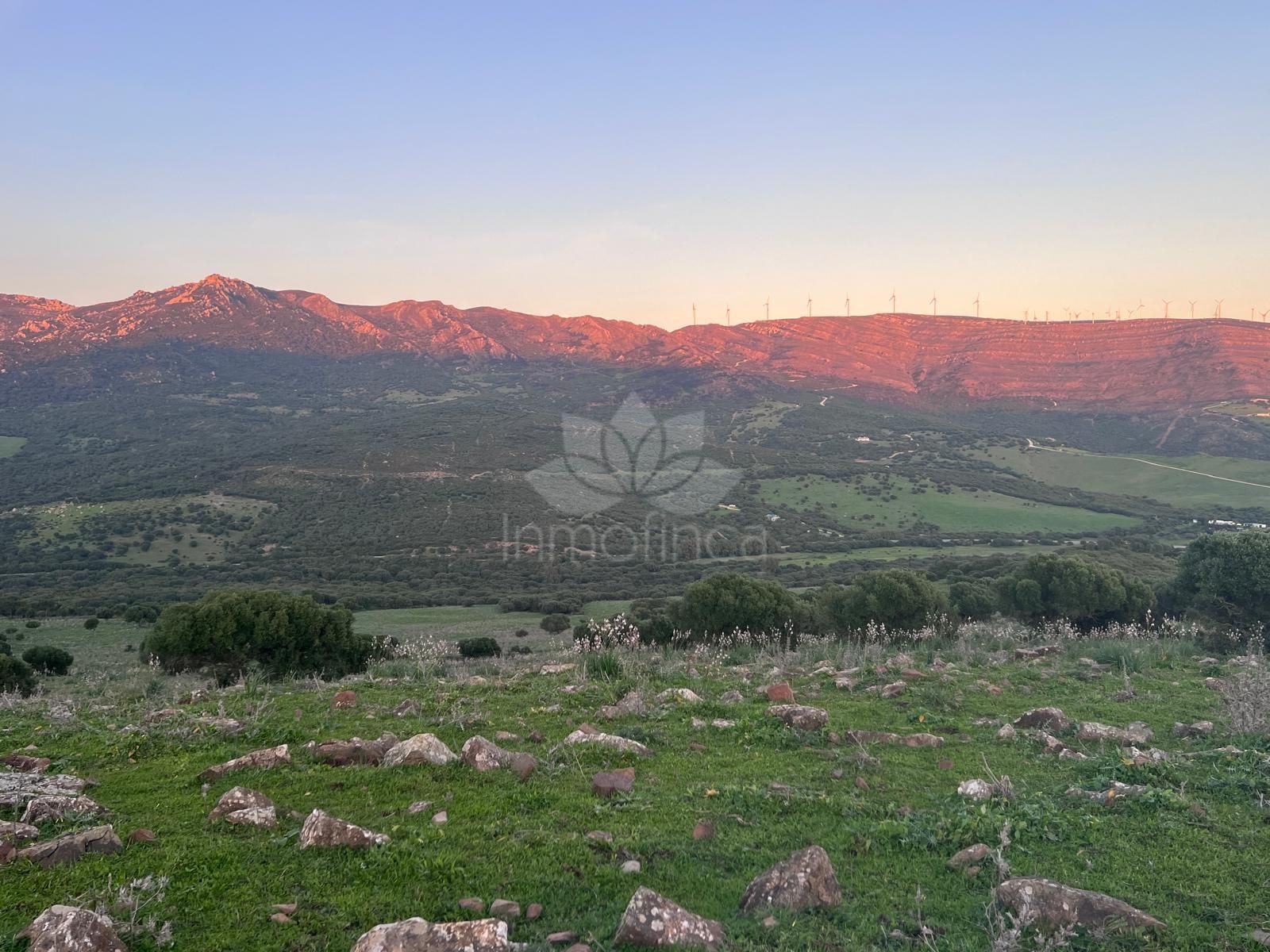 Plot in Tarifa