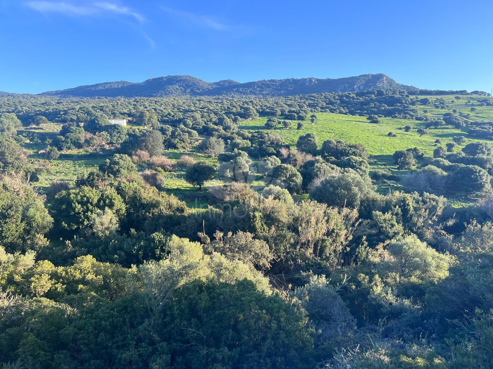 Plot in Tarifa