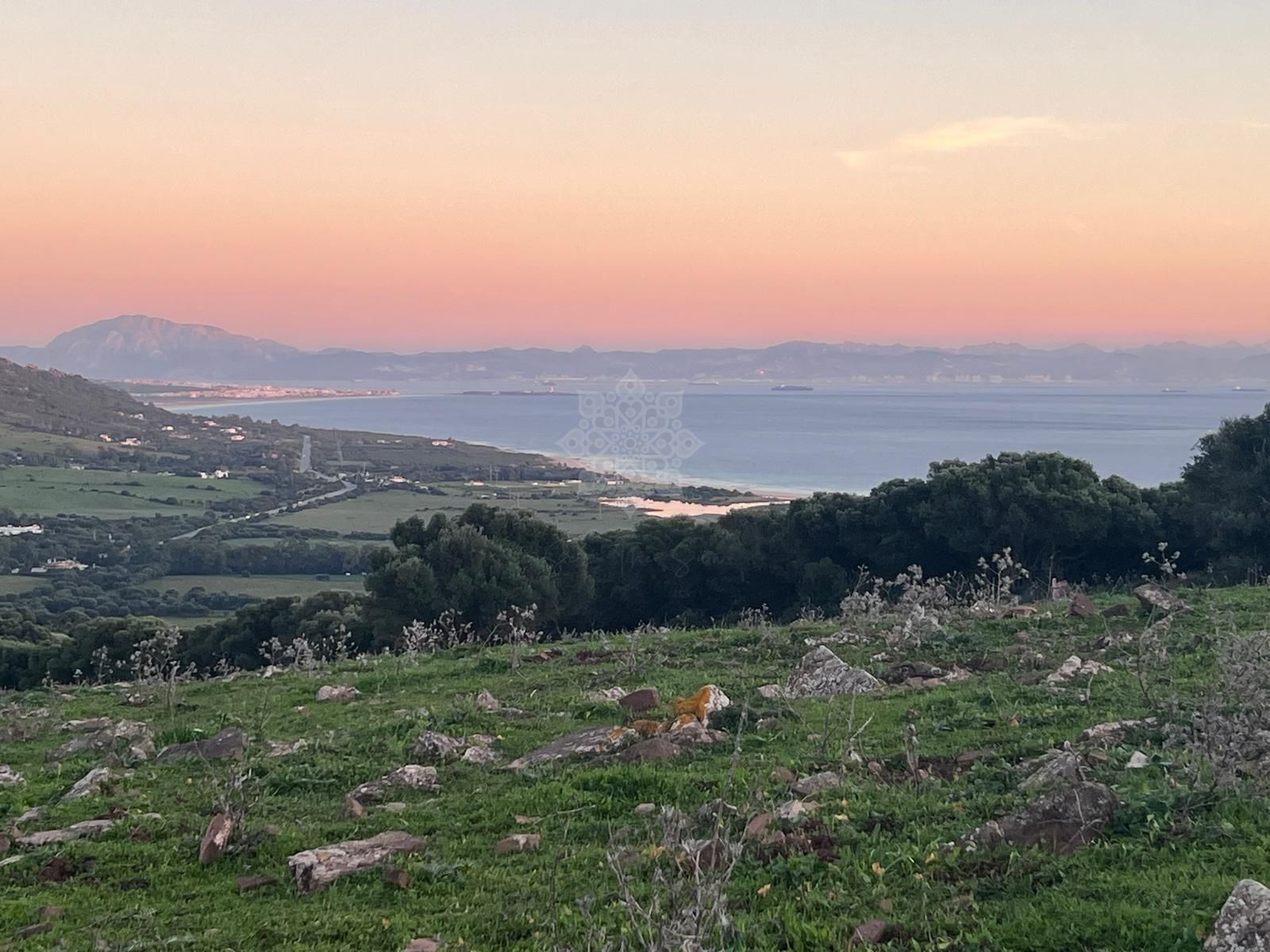 Plot in Tarifa