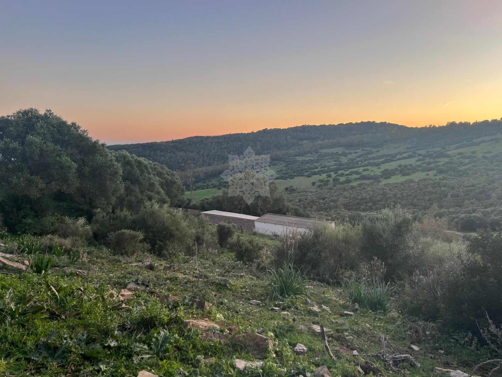 Plot in Tarifa