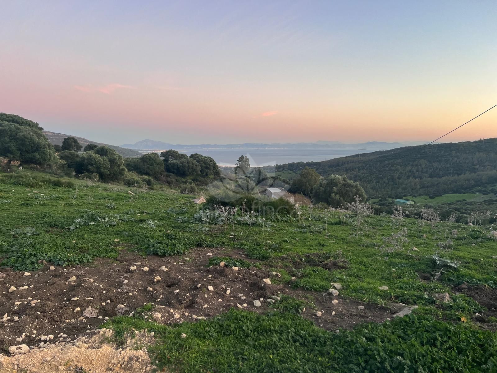Plot in Tarifa