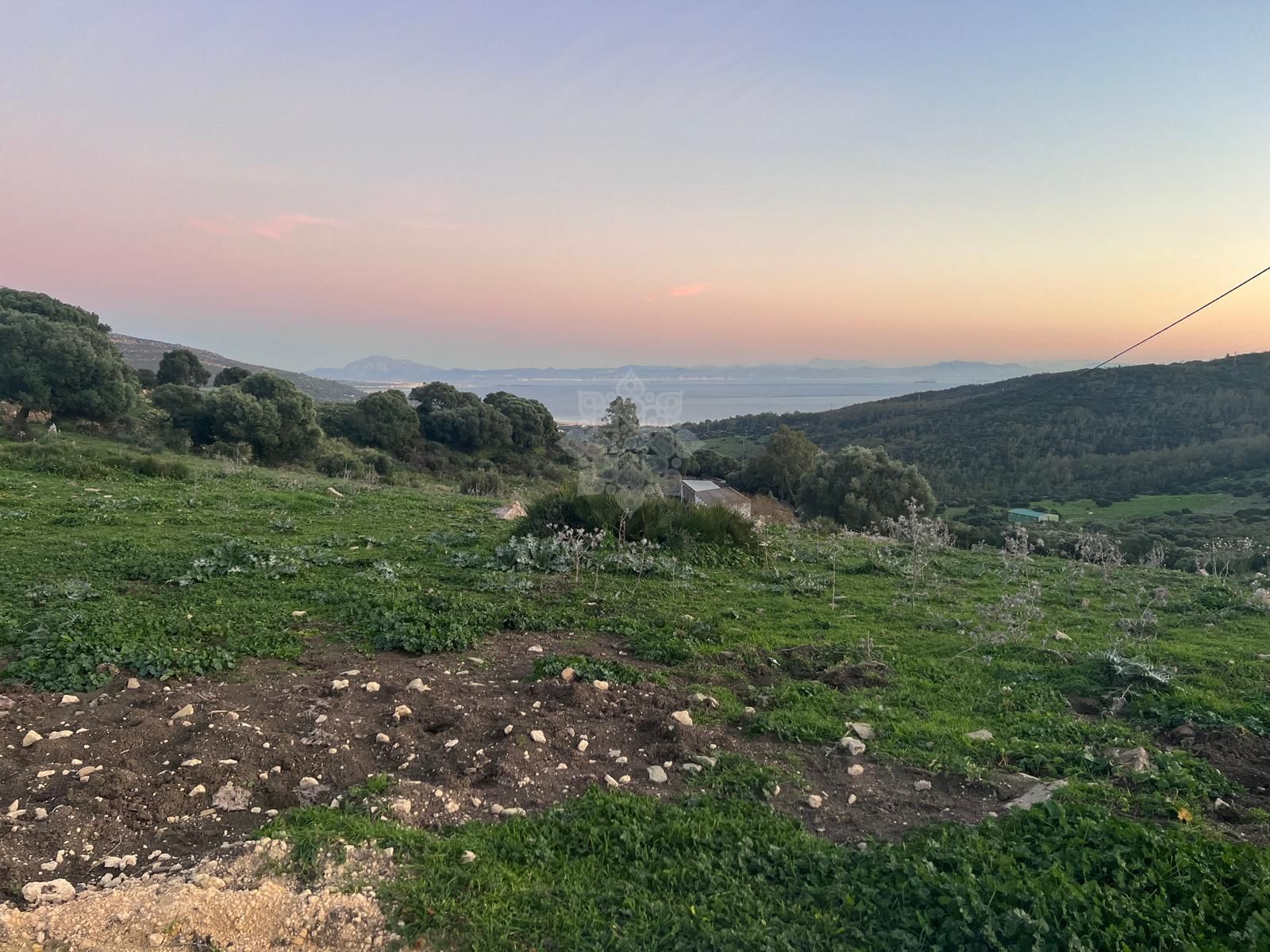 Plot in Tarifa