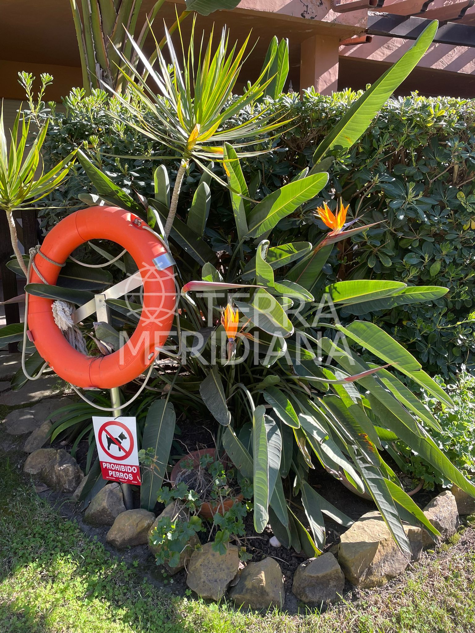 Apartment in Jardines de las Lomas, Marbella