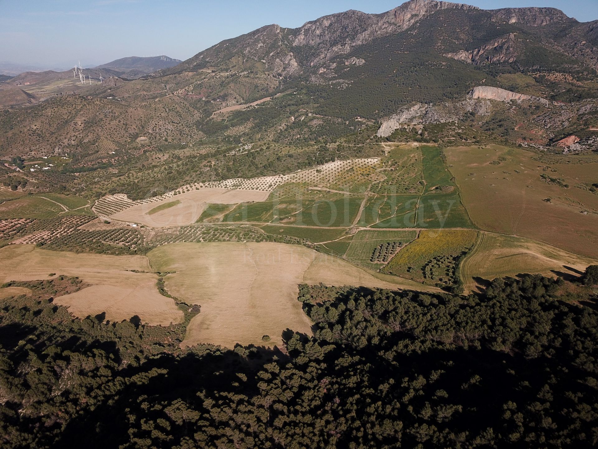 Plot in Ardales
