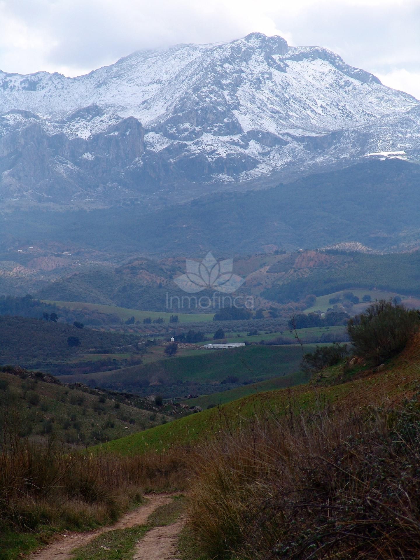 Parcela en Ardales