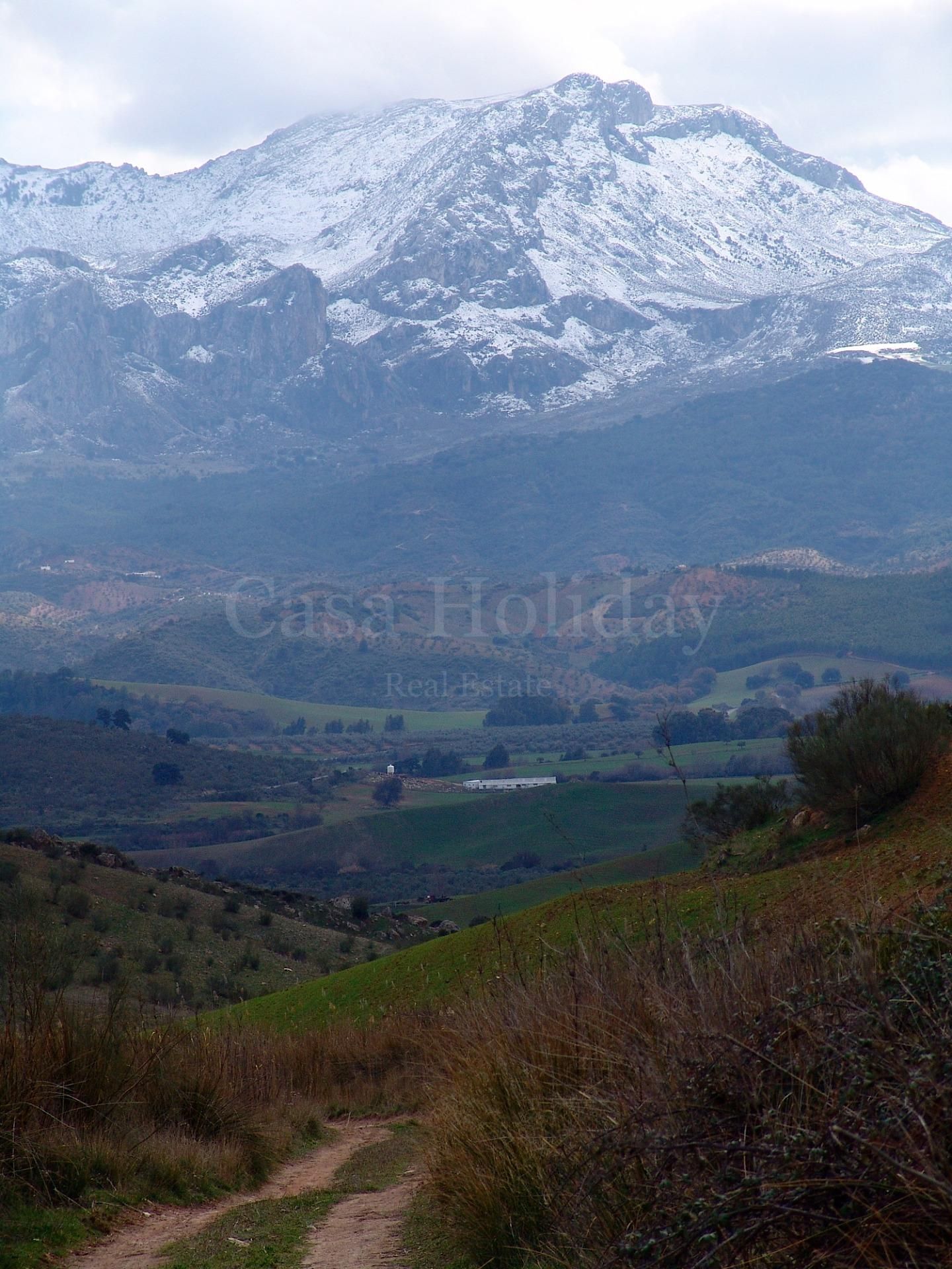 Plot in Ardales