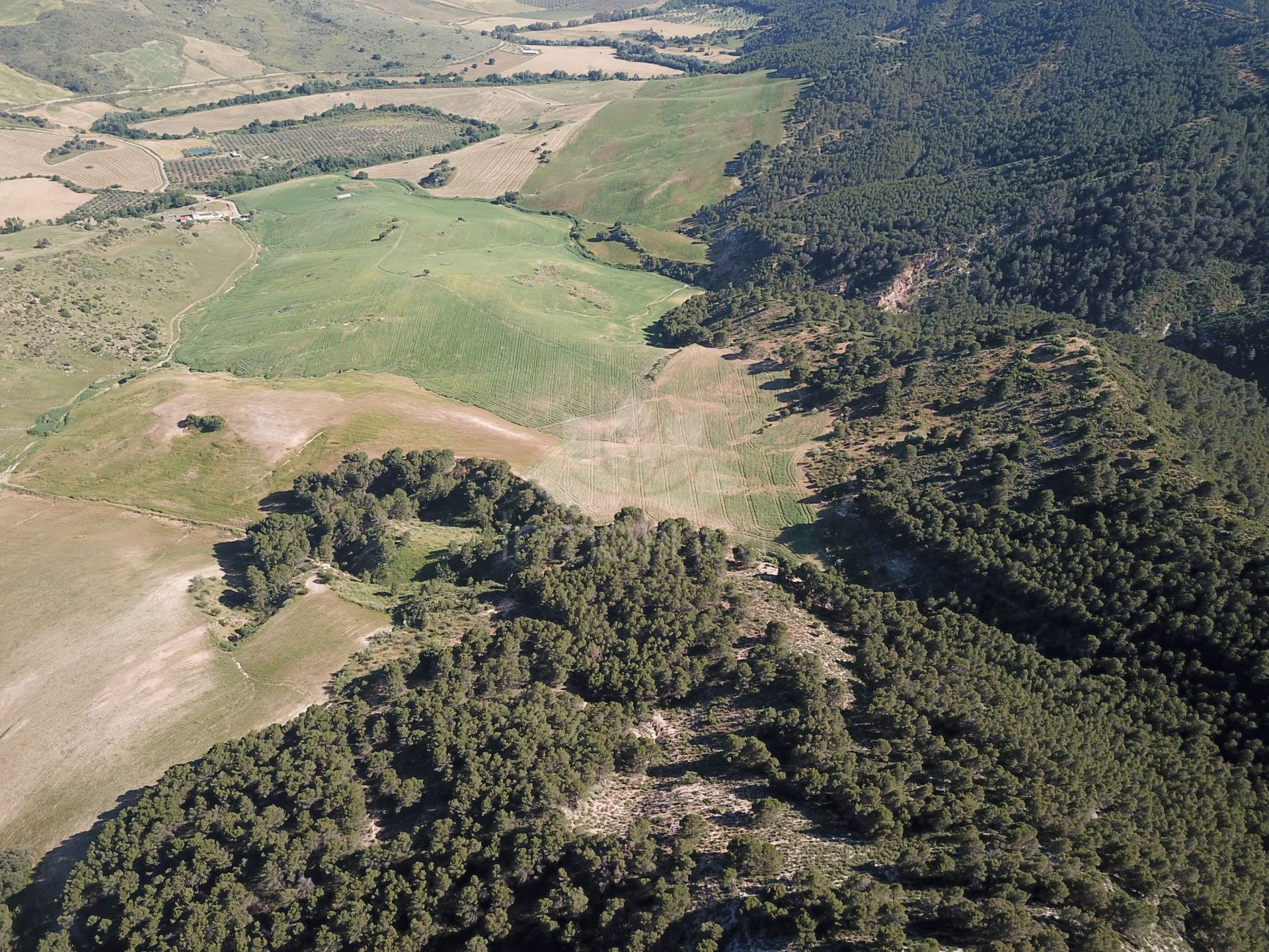 Parcela en Ardales