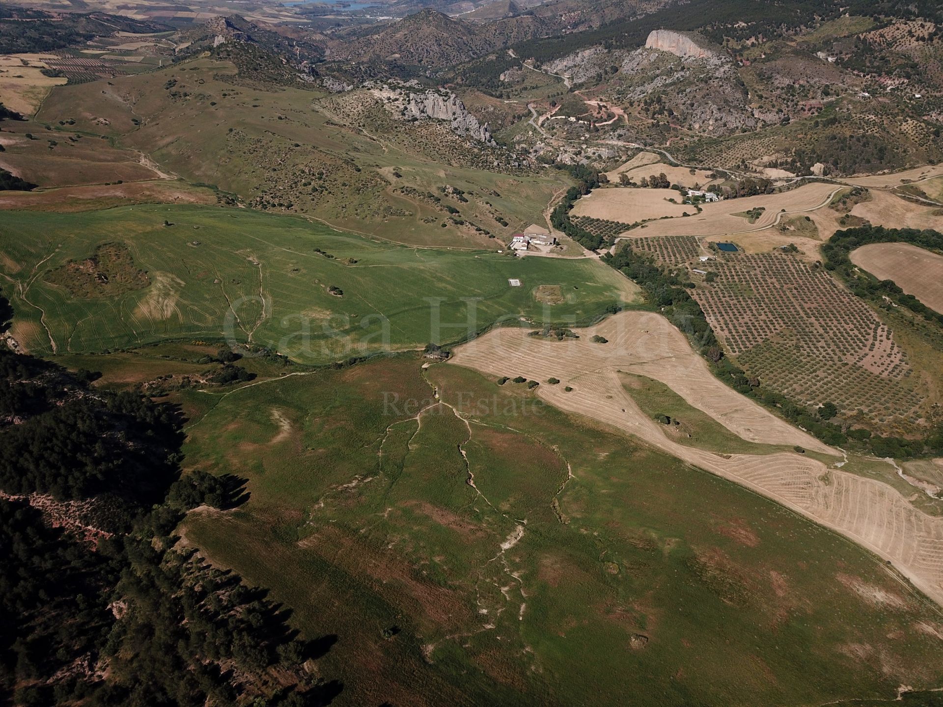 Plot in Ardales
