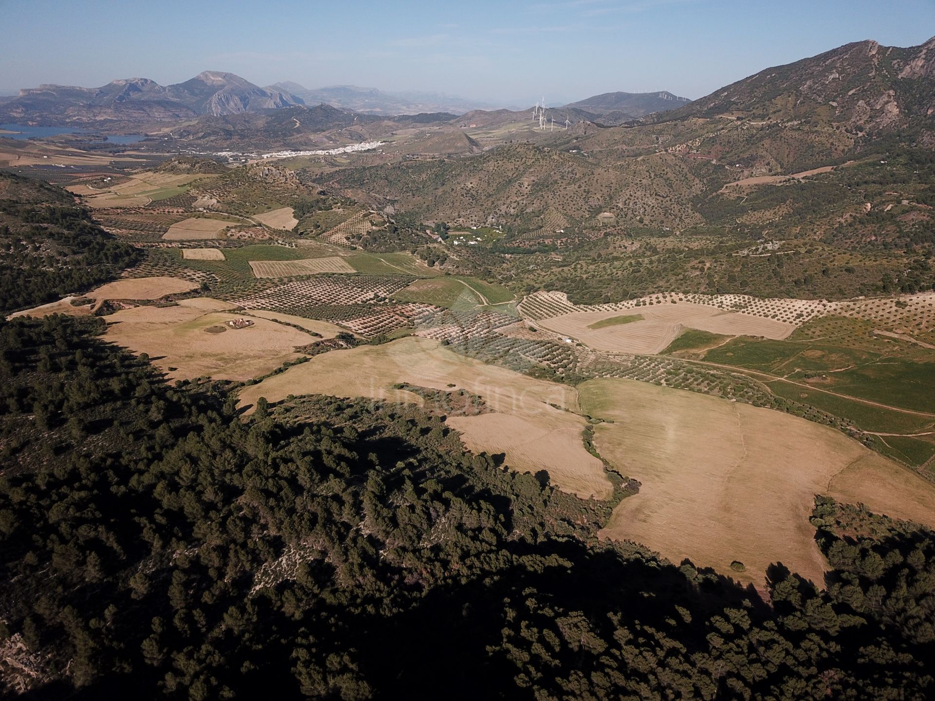 Parcela en Ardales