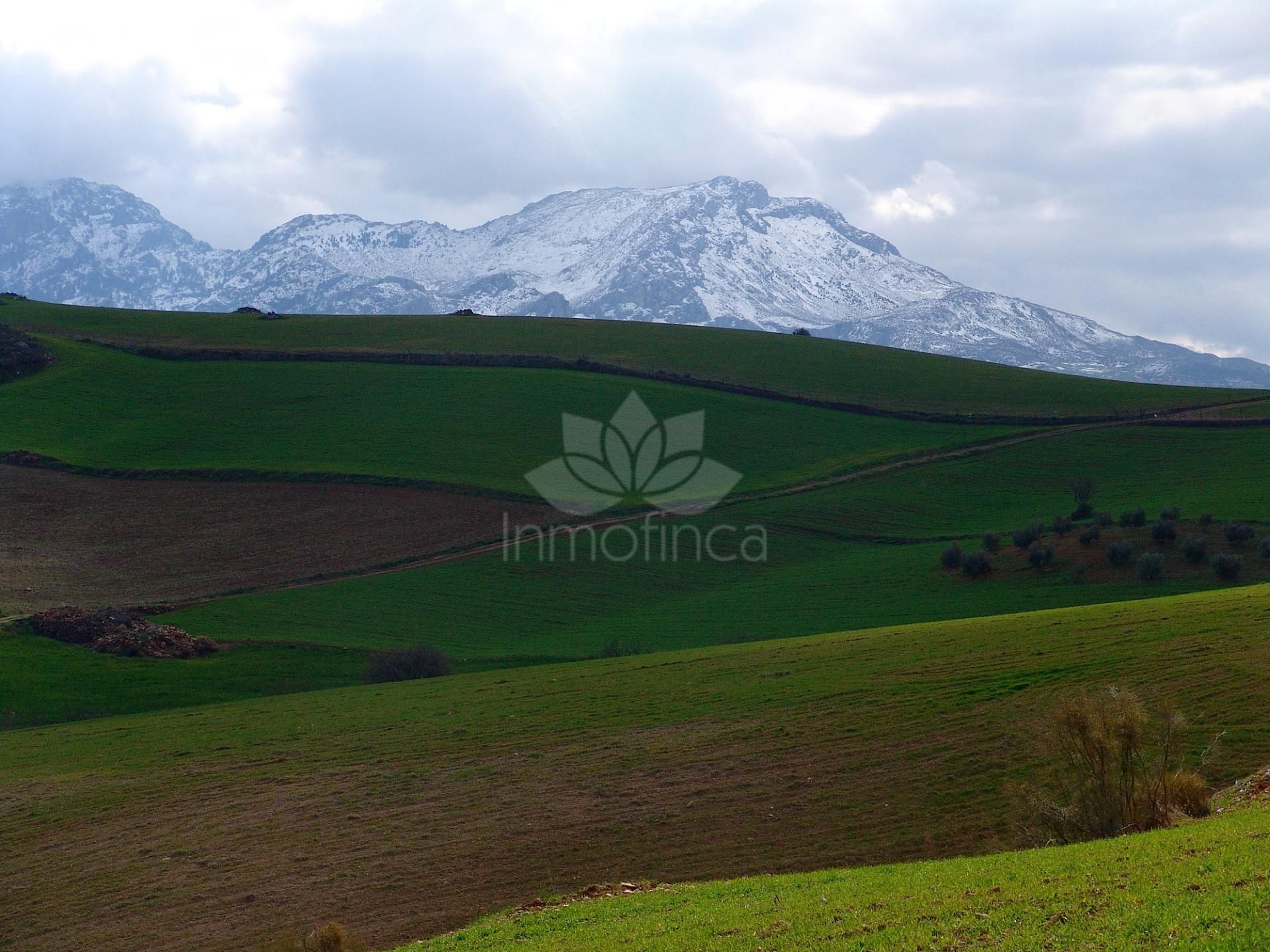 Parcela en Ardales