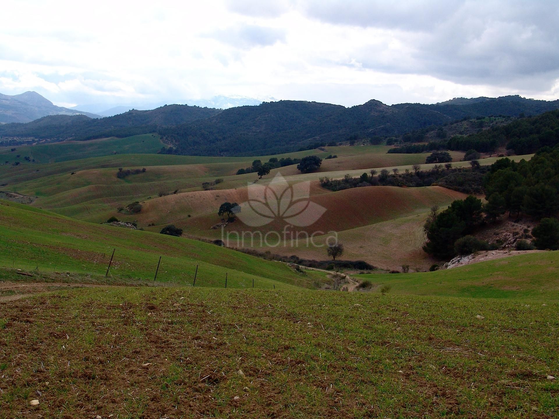 Parcela en Ardales