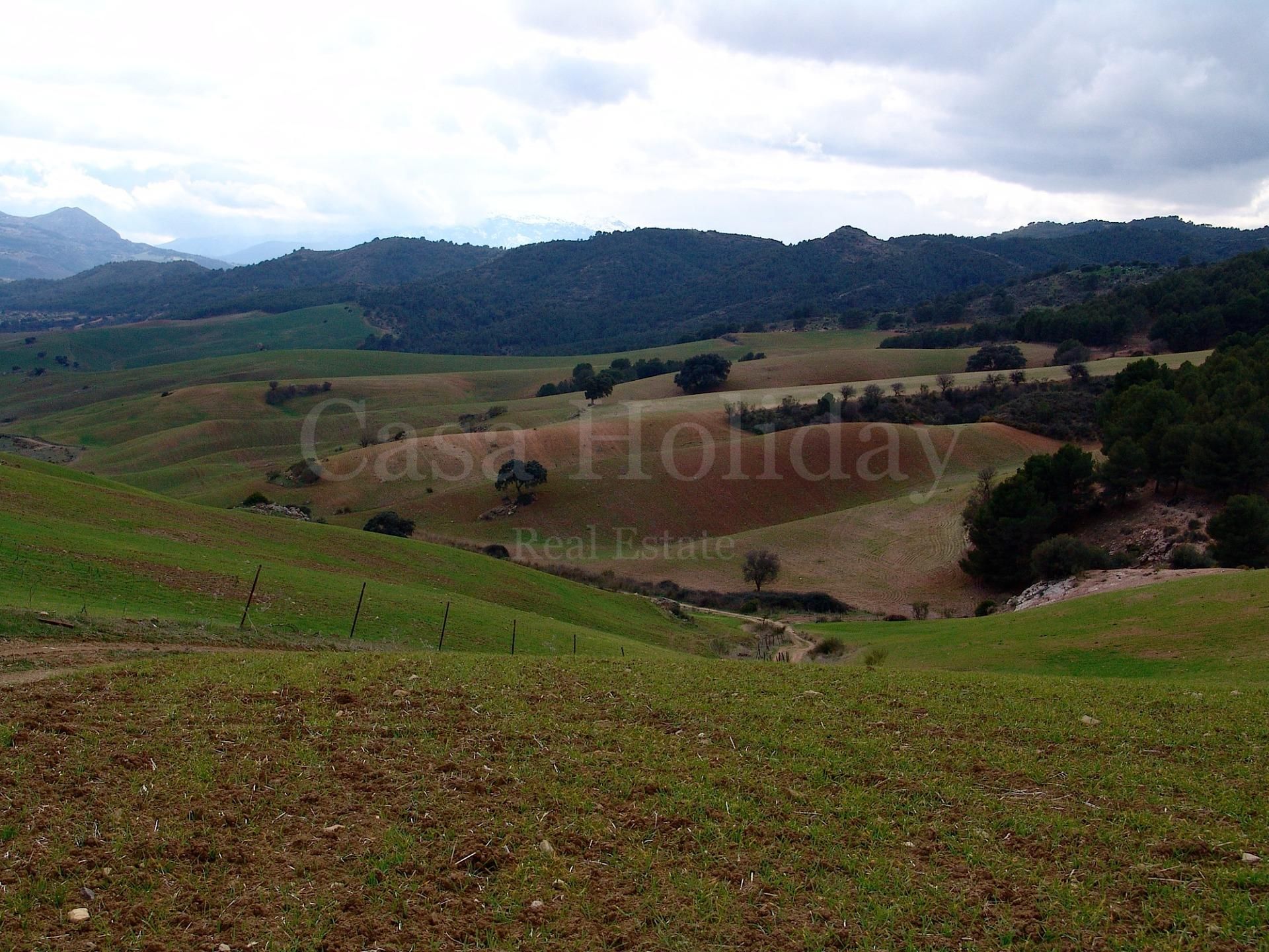 Plot in Ardales