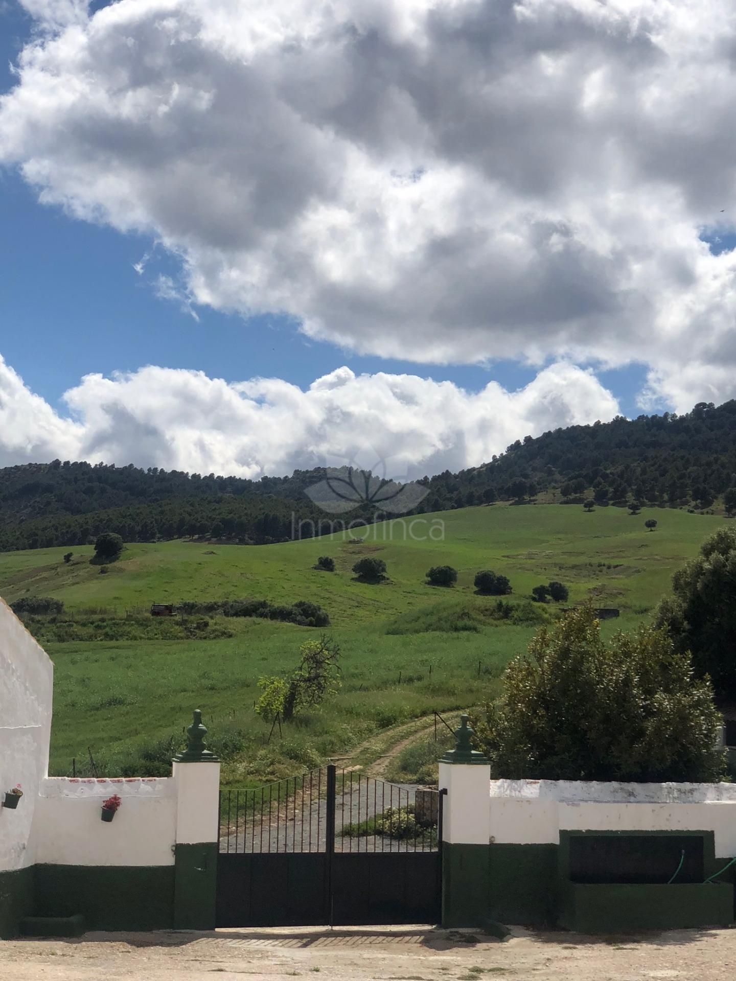 Parcela en Ardales