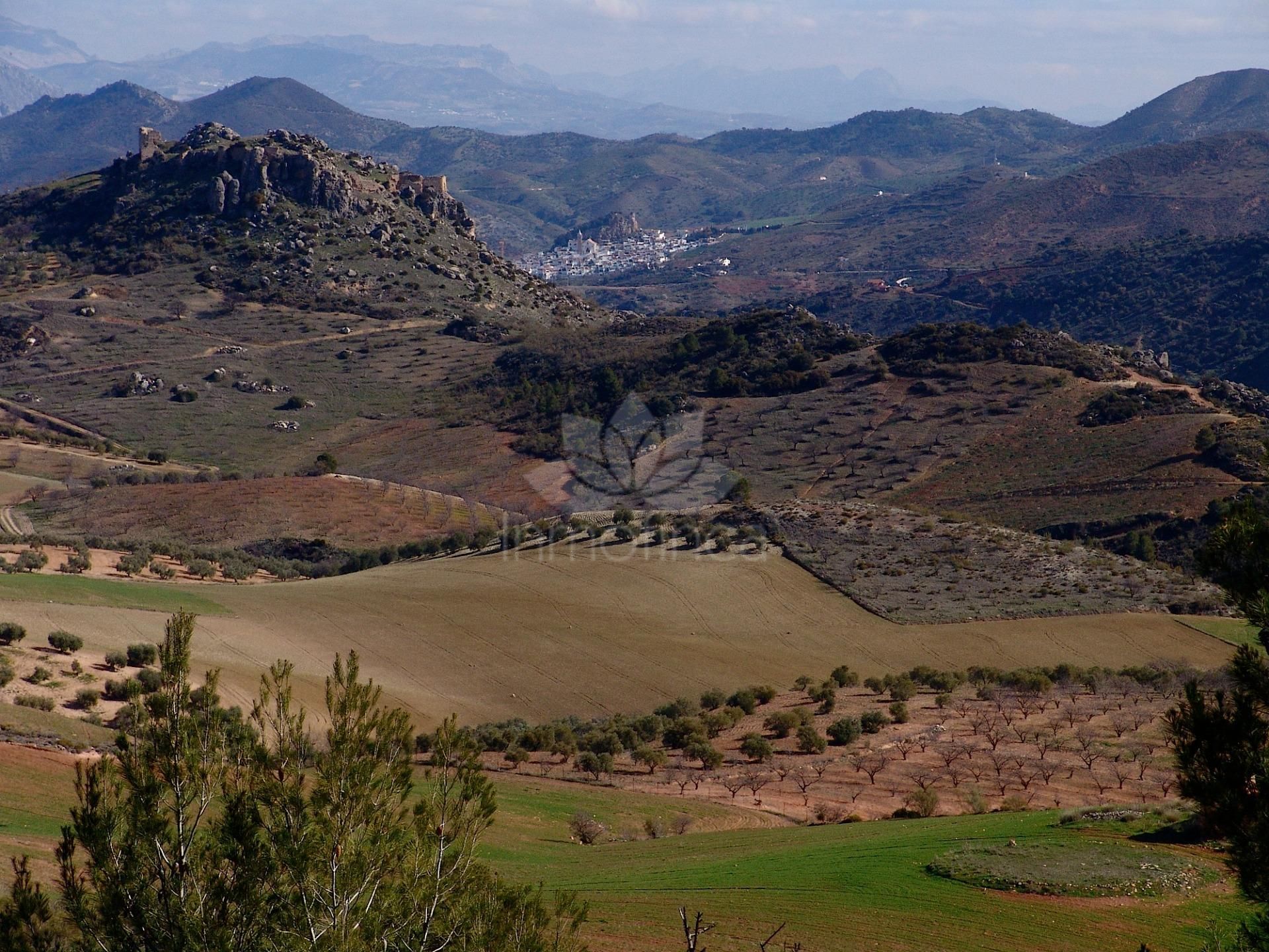 Parcela en Ardales