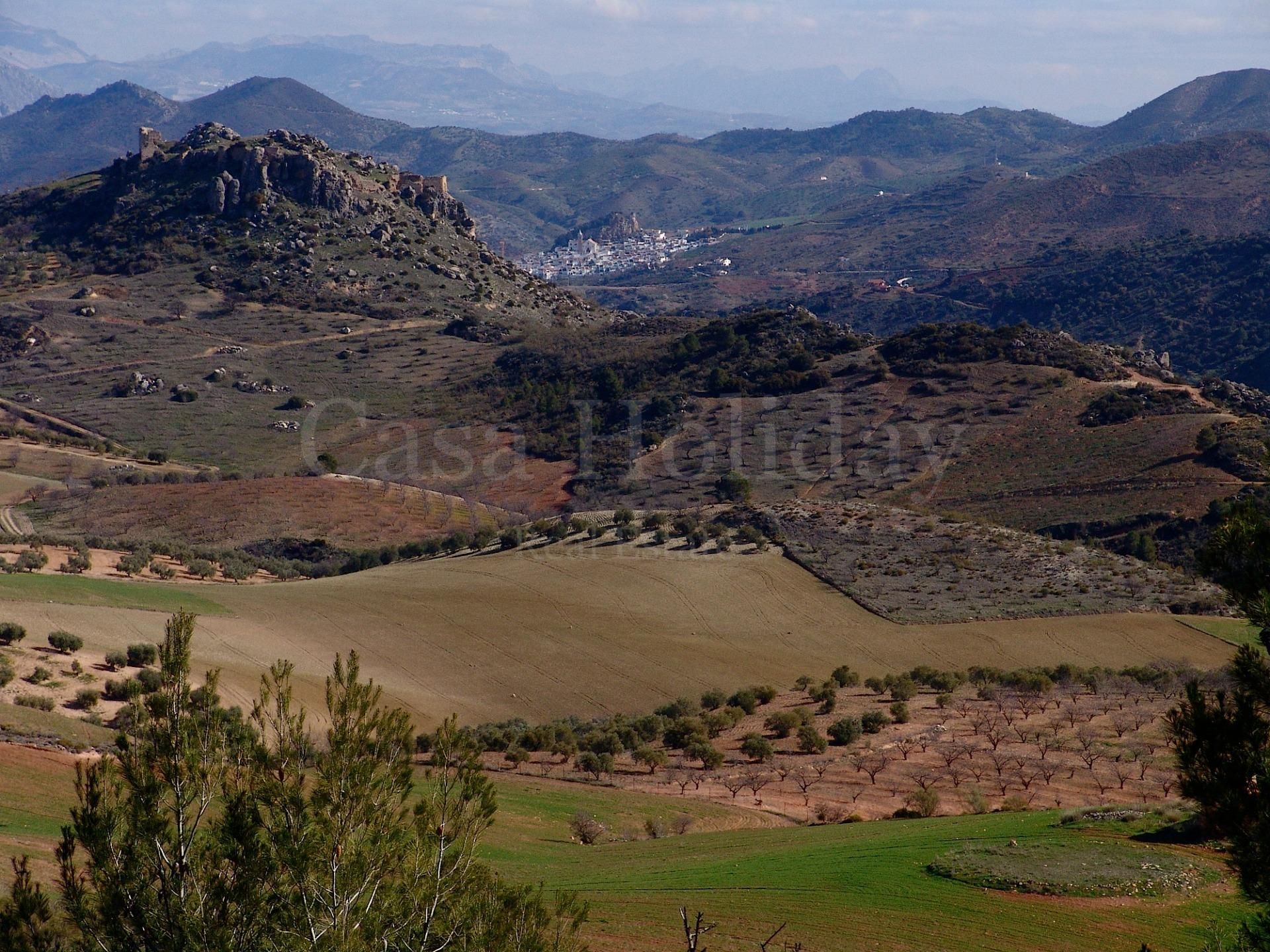 Plot in Ardales