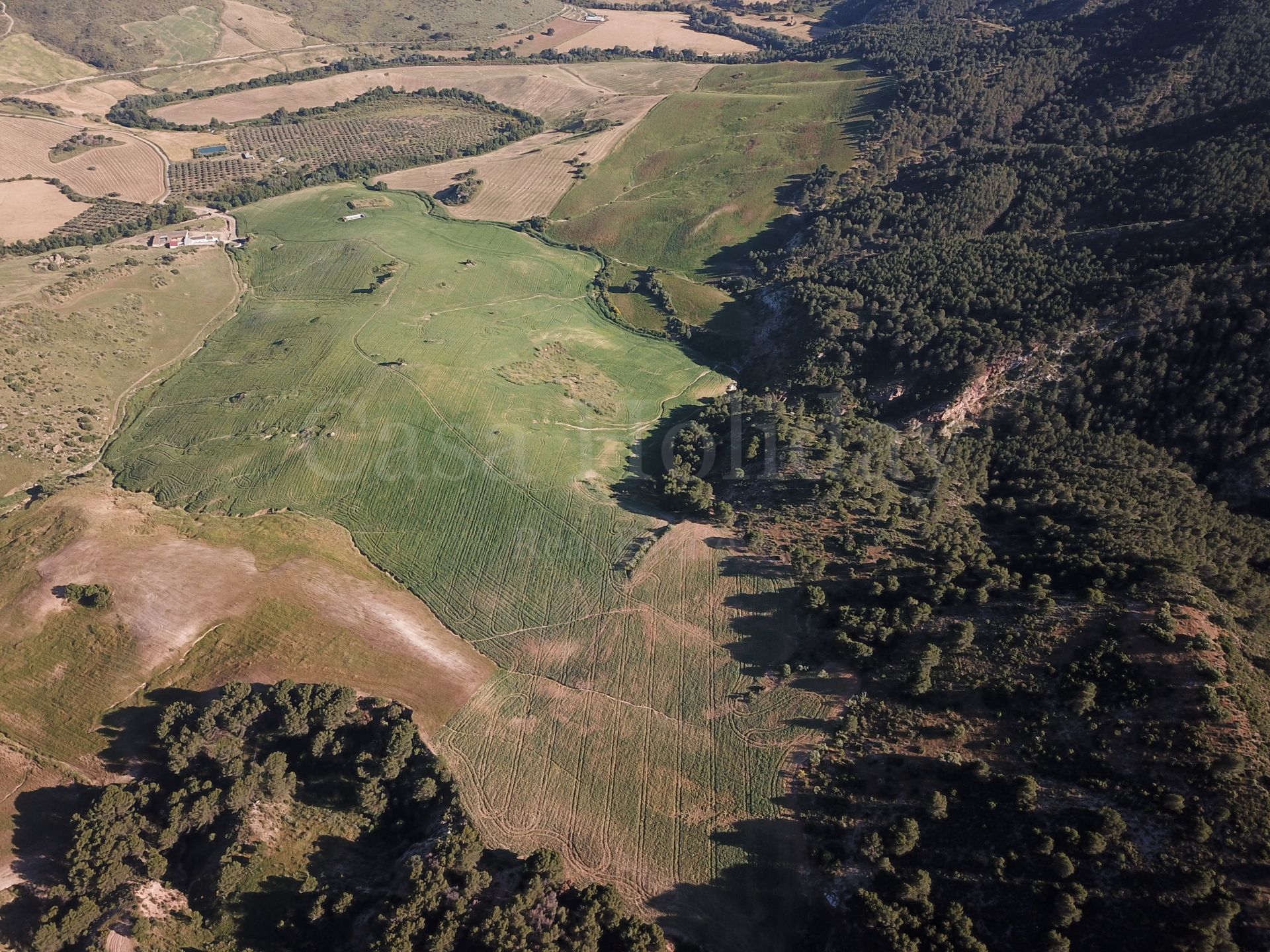 Plot in Ardales