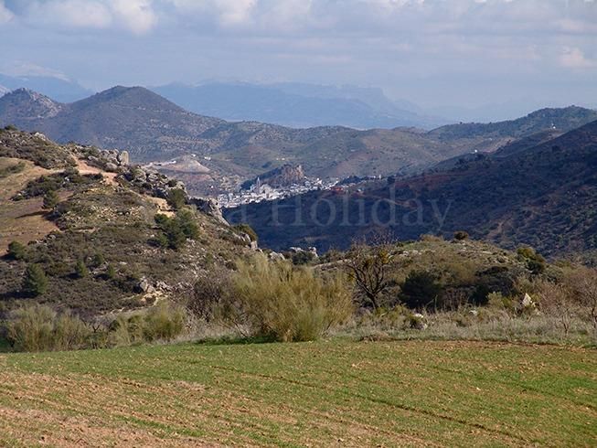 Plot in Ardales