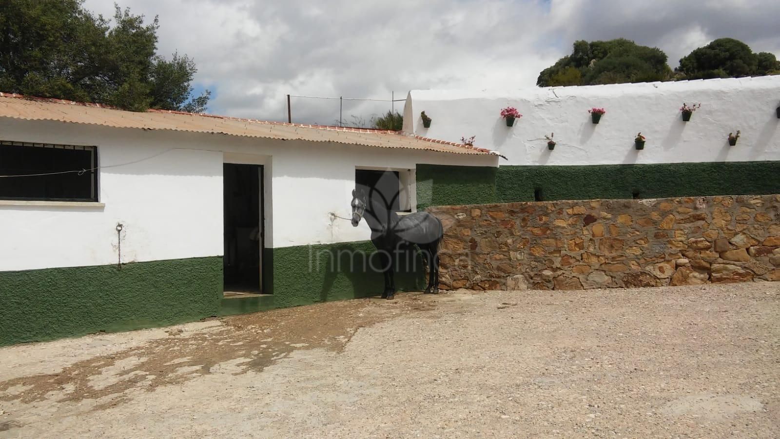 Parcela en Ardales