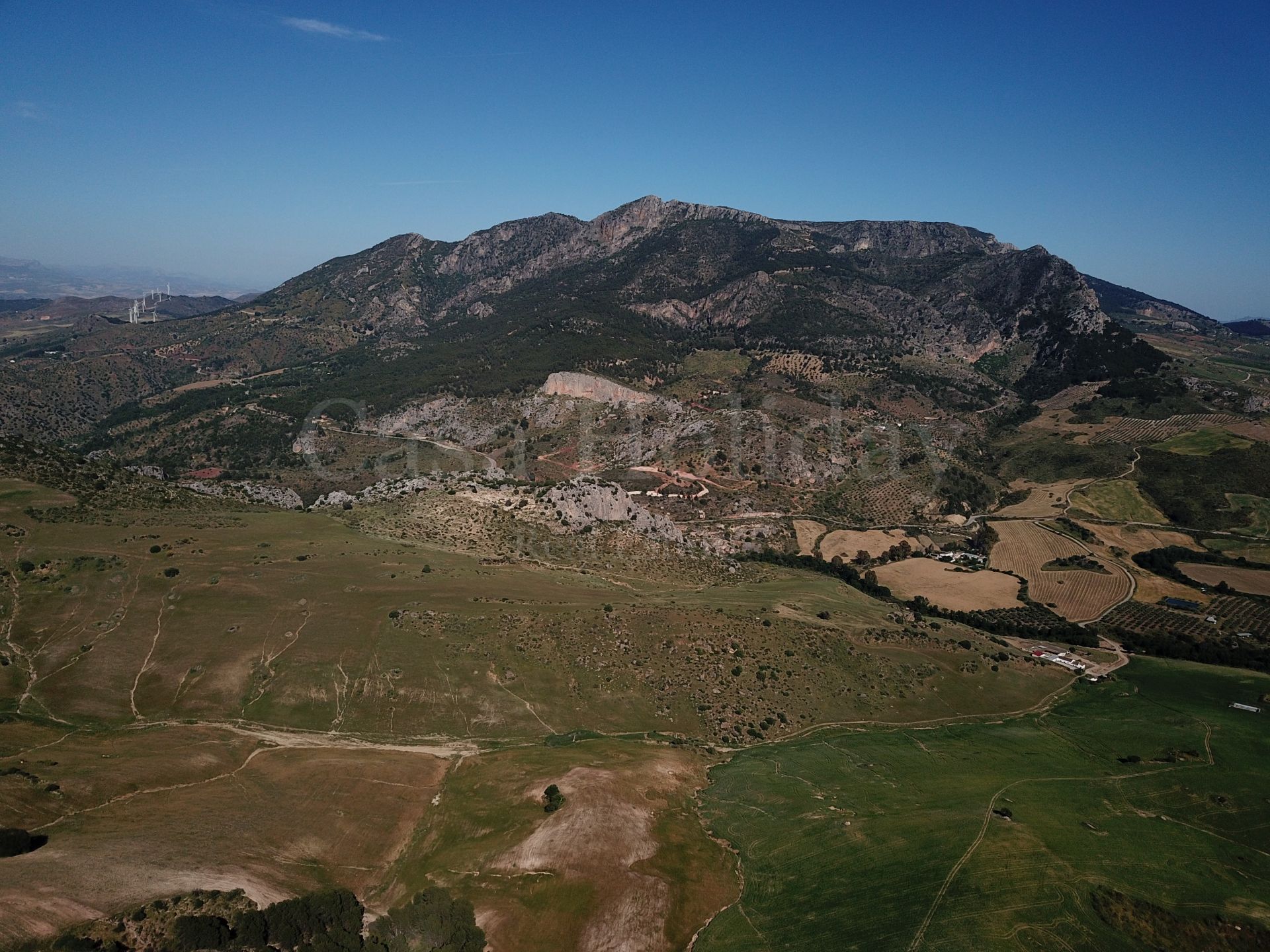 Plot in Ardales