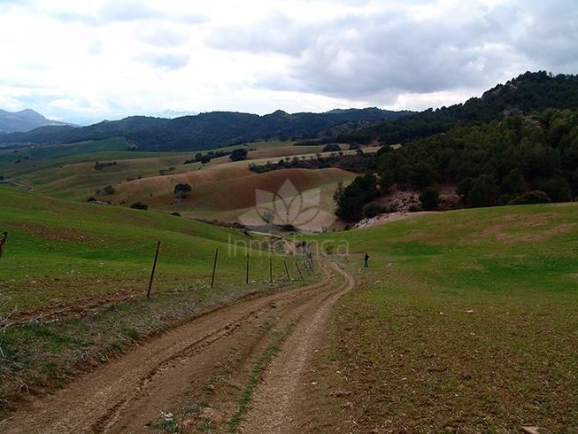Parcela en Ardales