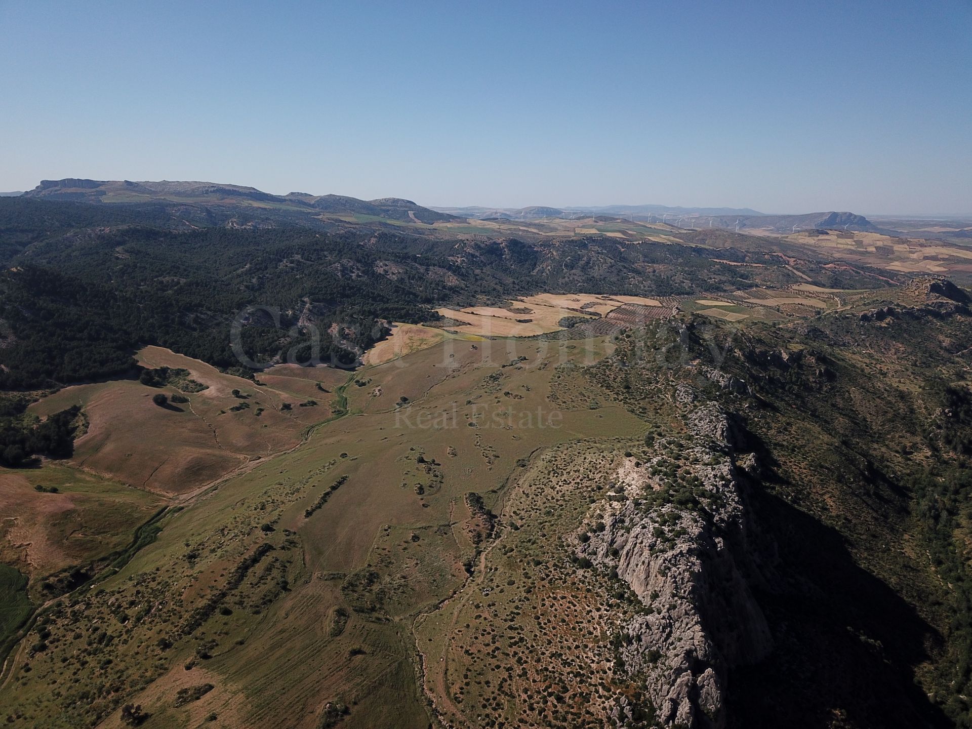 Plot in Ardales