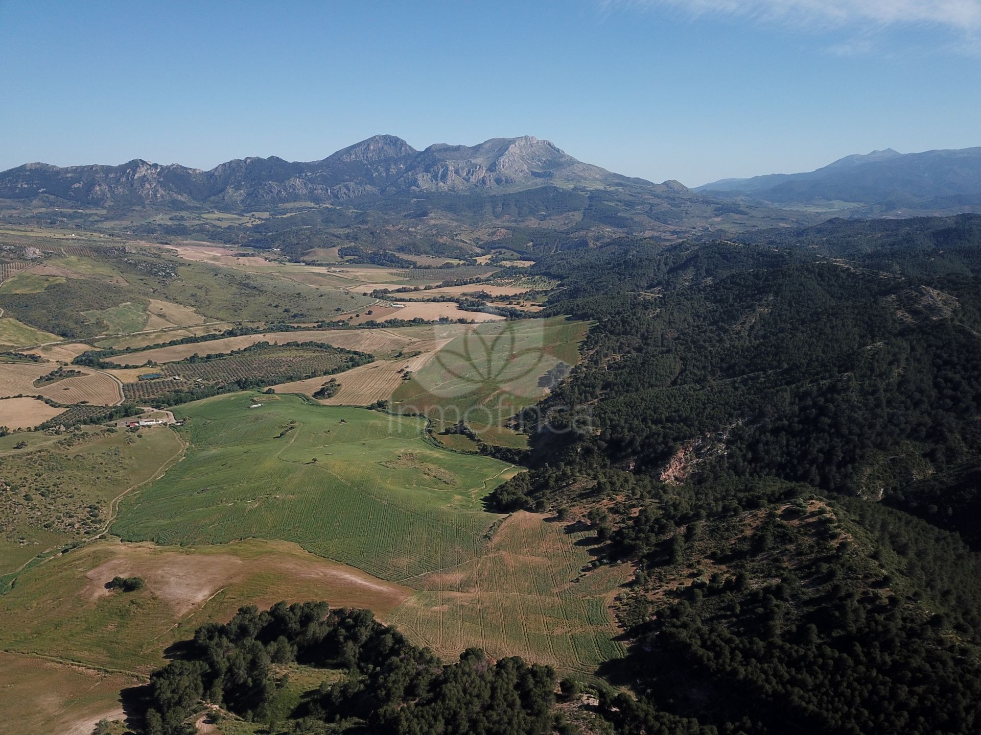 Parcela en Ardales
