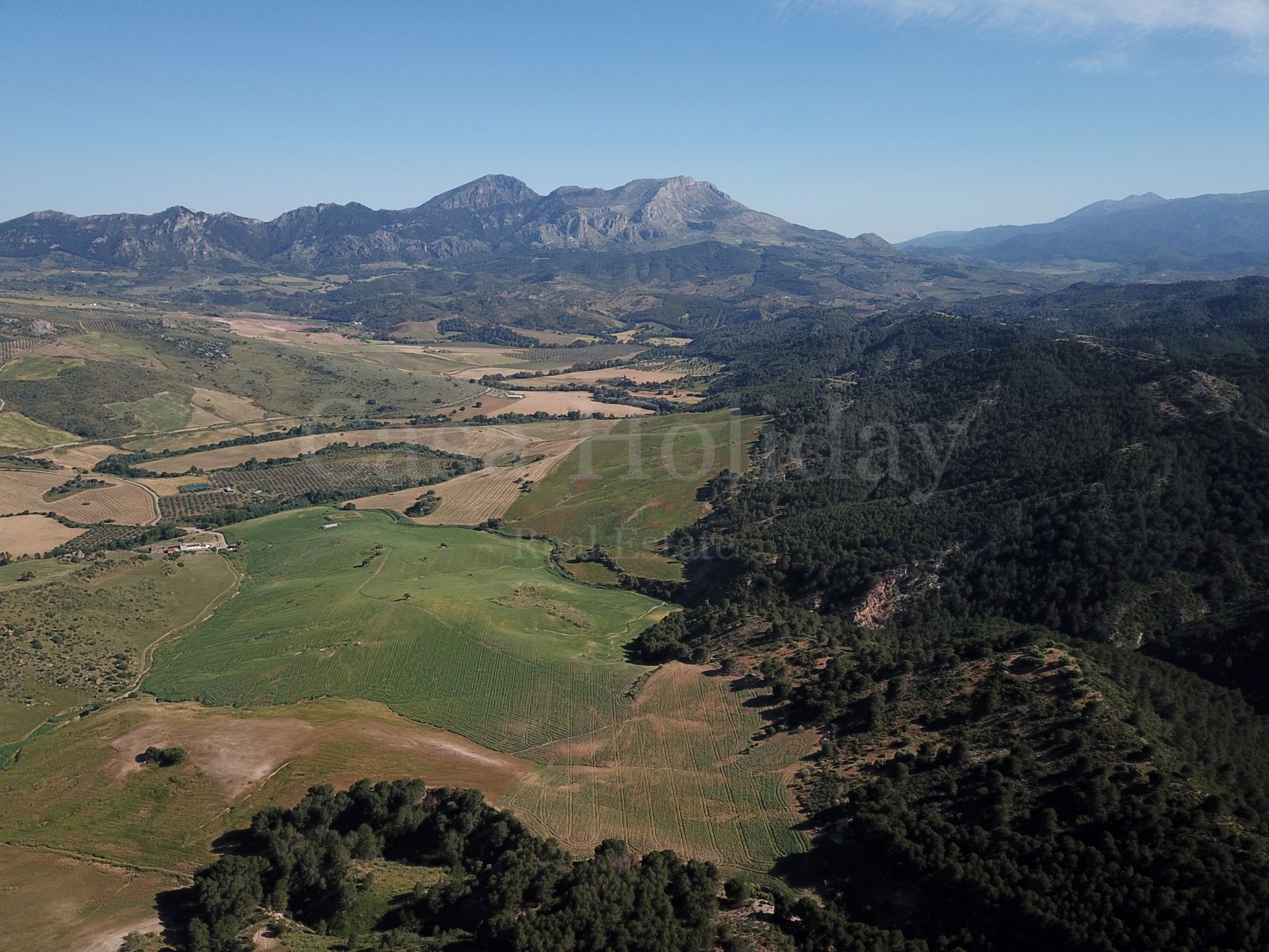 Plot in Ardales