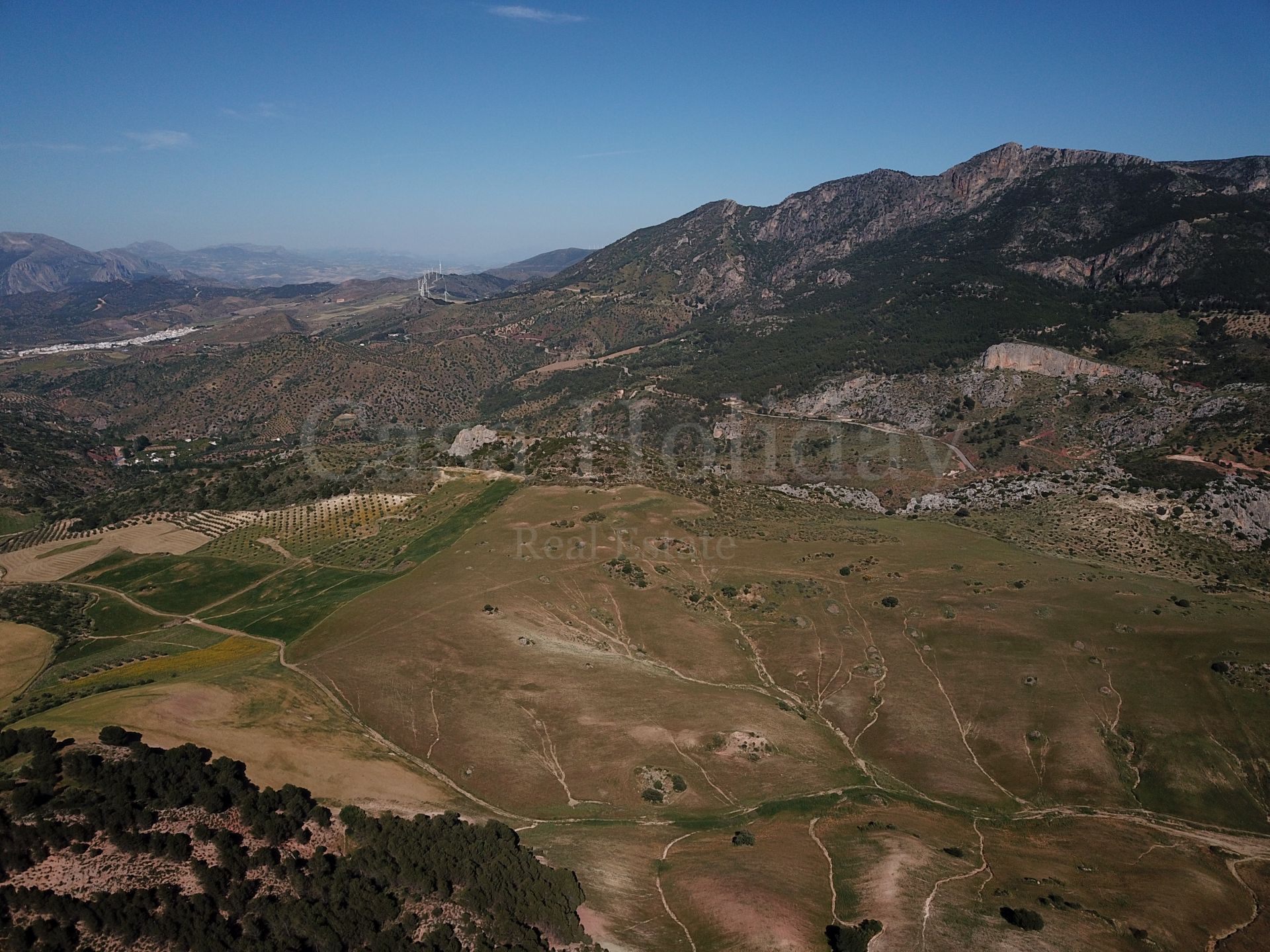 Plot in Ardales