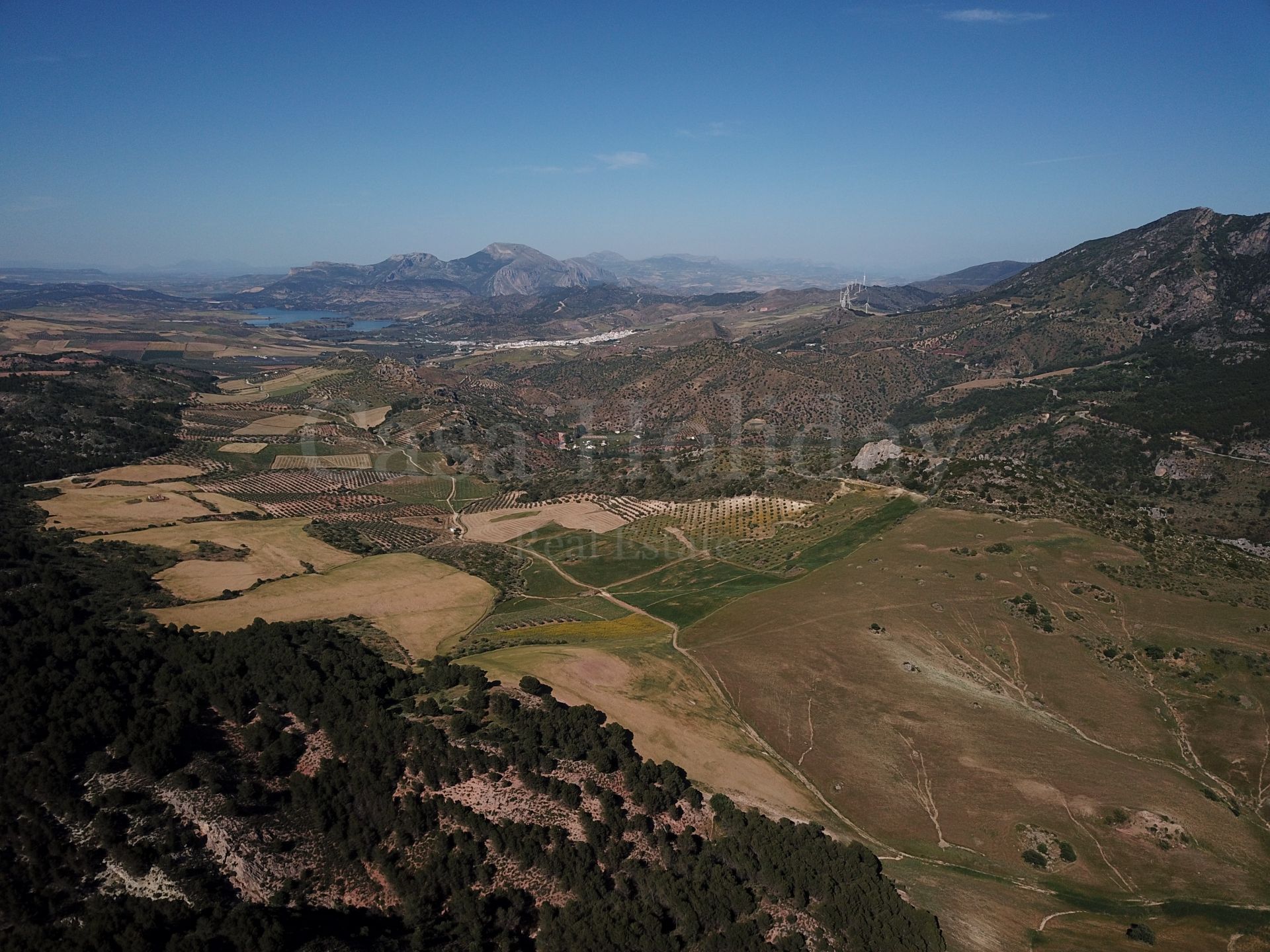 Plot in Ardales