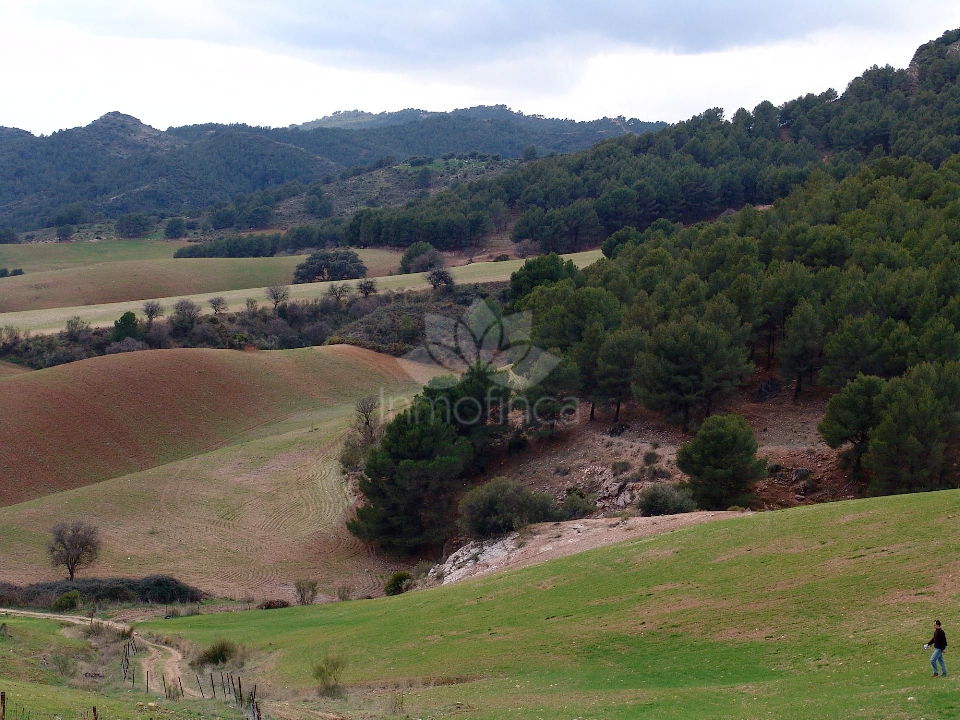 Parcela en Ardales