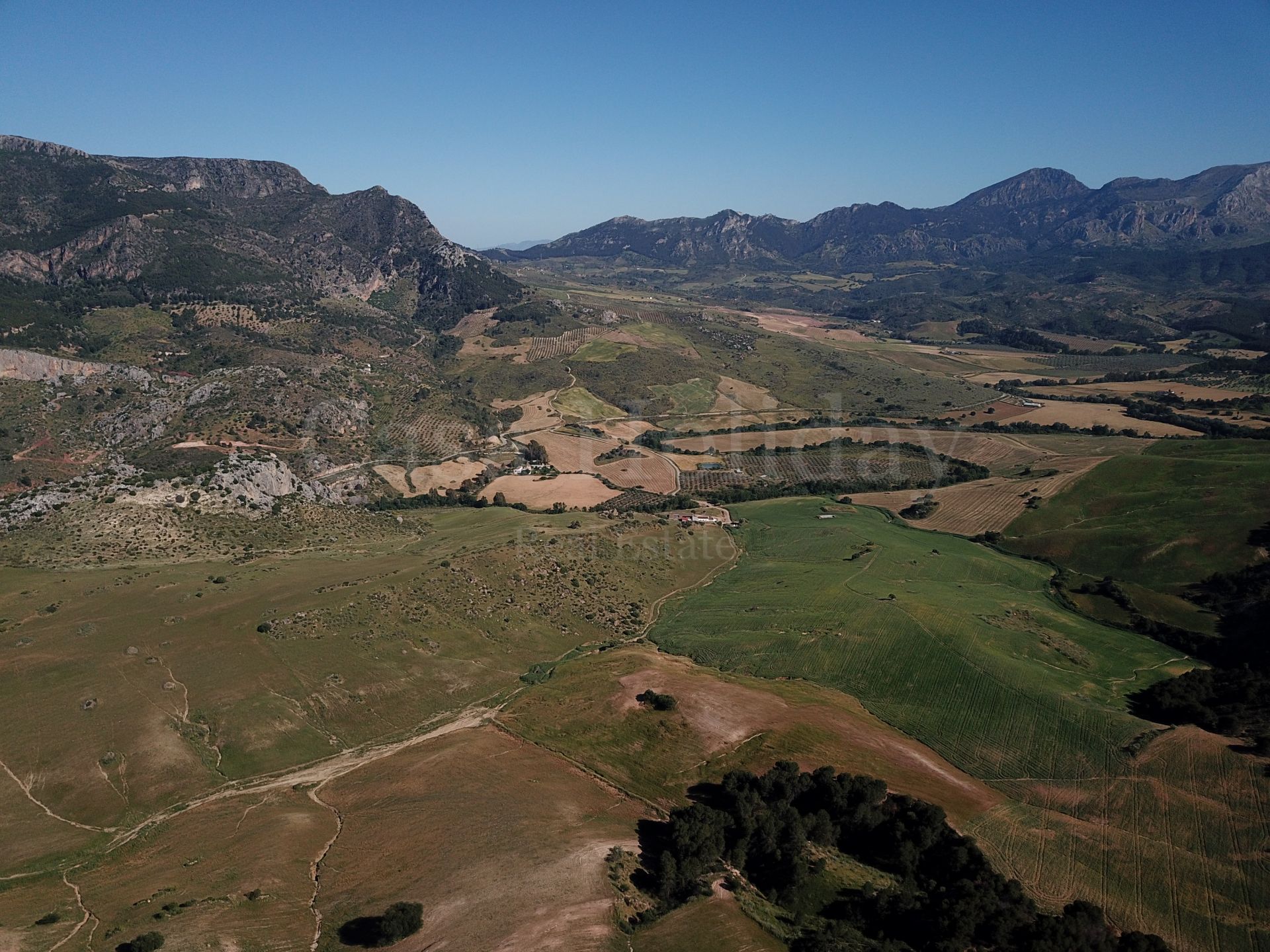 Plot in Ardales