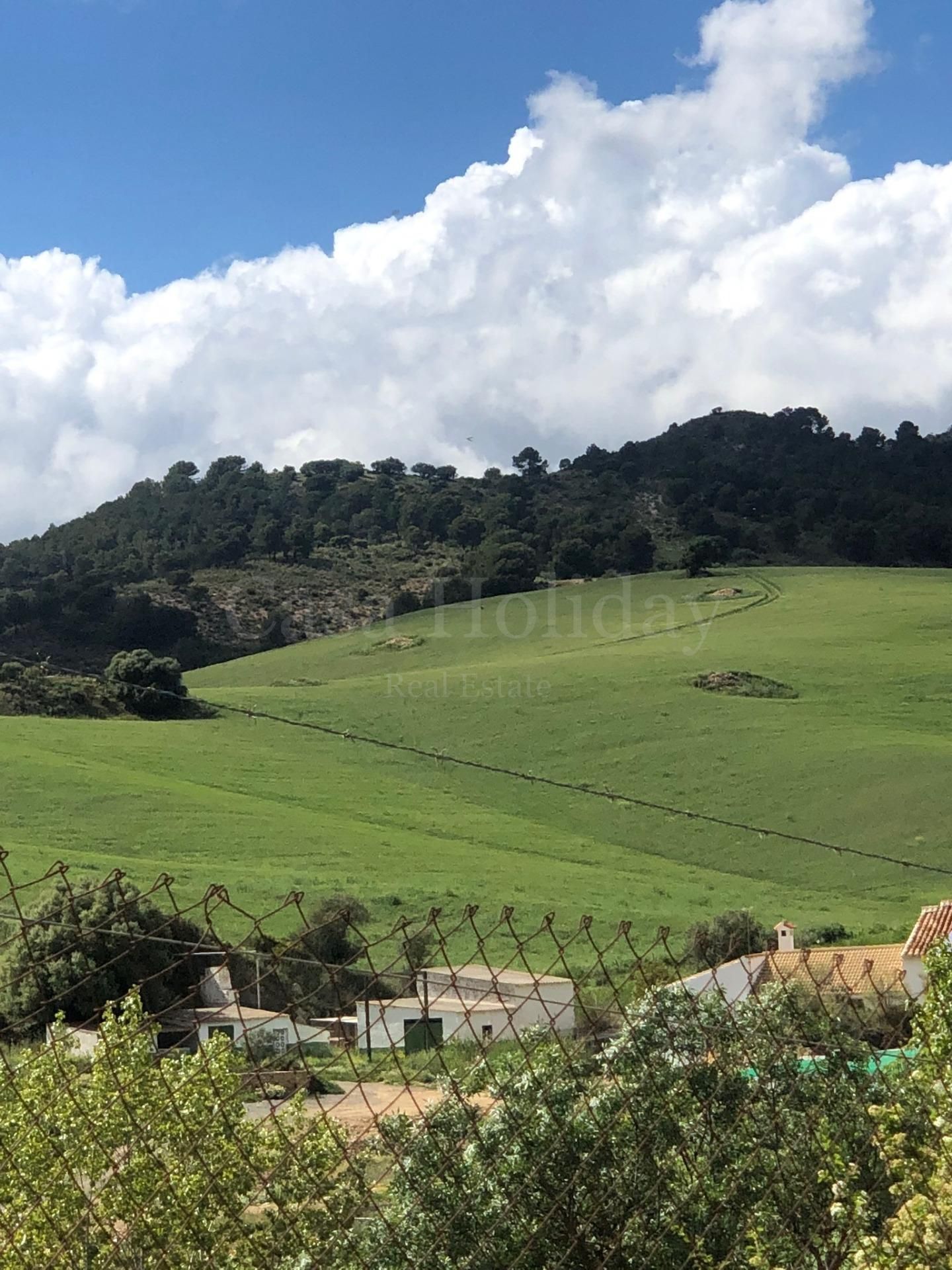 Plot in Ardales